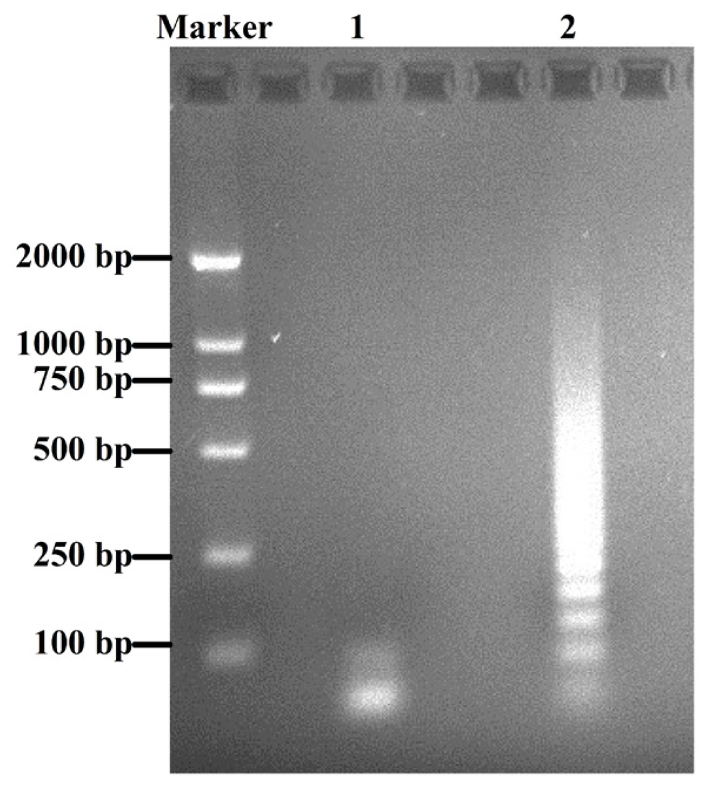 Marinedrugs 14 00011 g002 1024