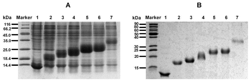 Marinedrugs 14 00011 g003 1024