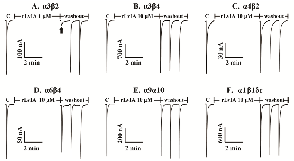 Marinedrugs 14 00011 g006 1024