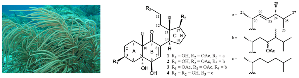 Marinedrugs 14 00012 g001 1024