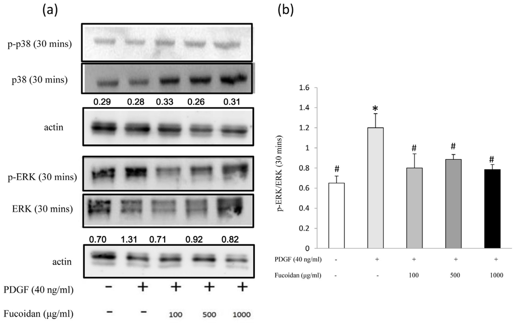 Marinedrugs 14 00015 g004 1024