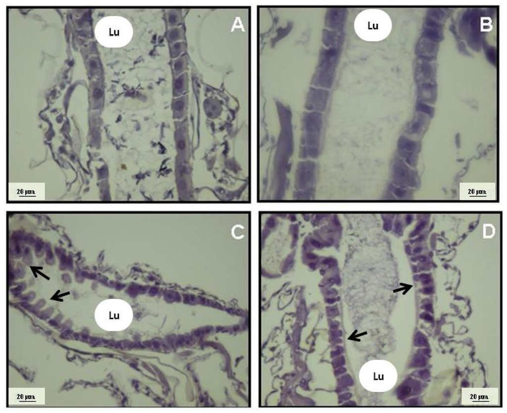 Marinedrugs 14 00020 g007 1024