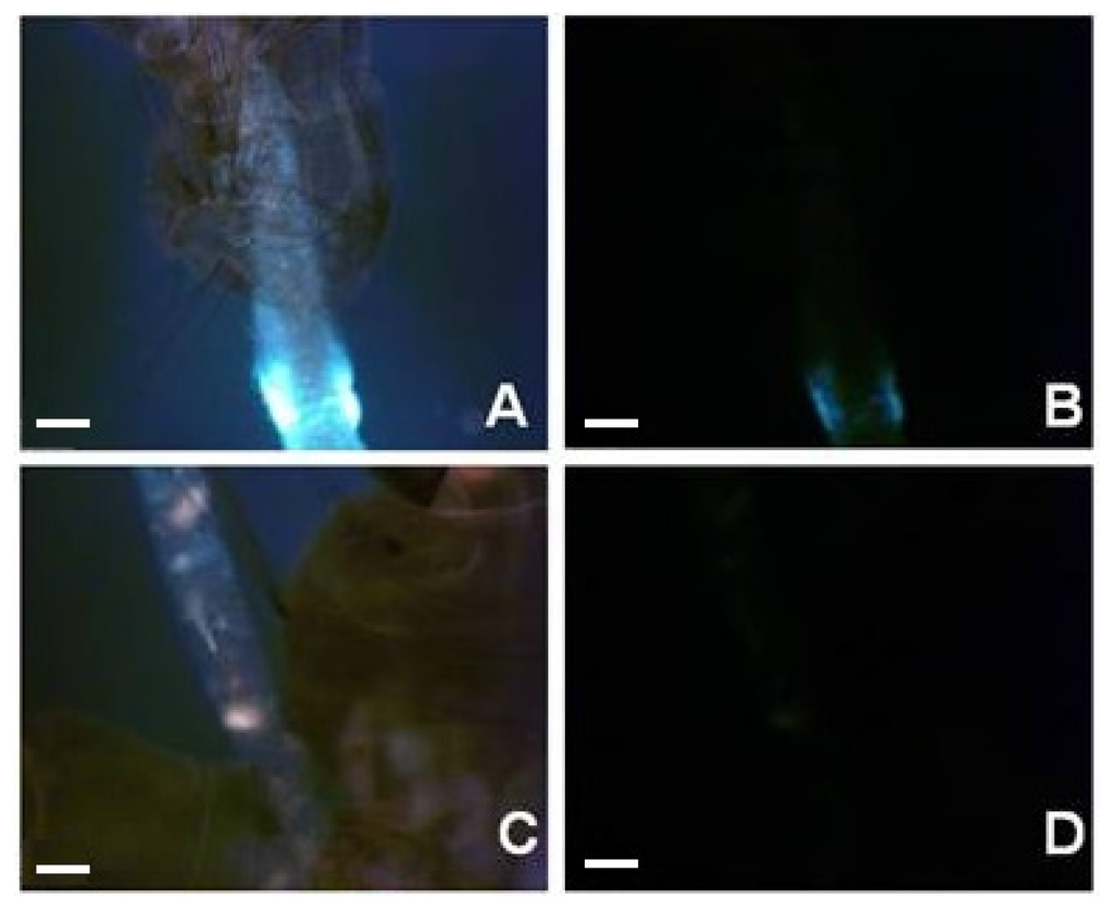 Marinedrugs 14 00020 g008a 1024