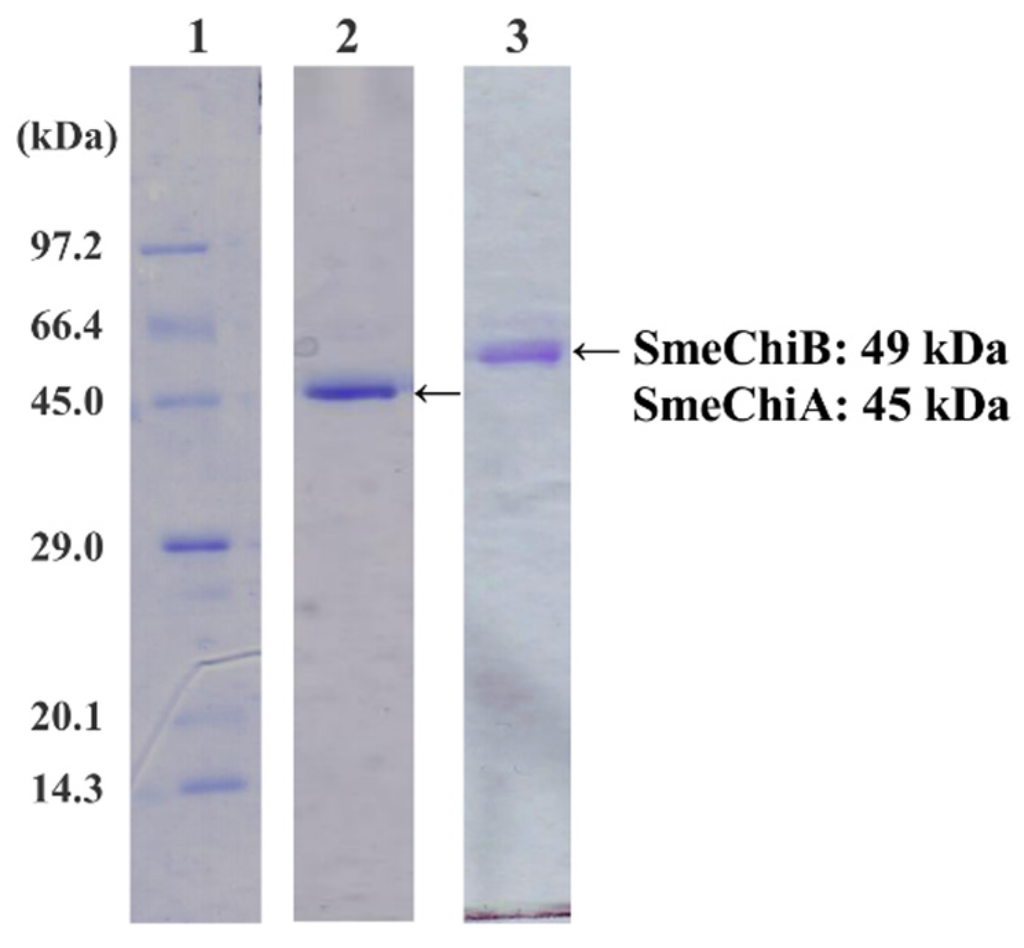 Marinedrugs 14 00022 g001 1024