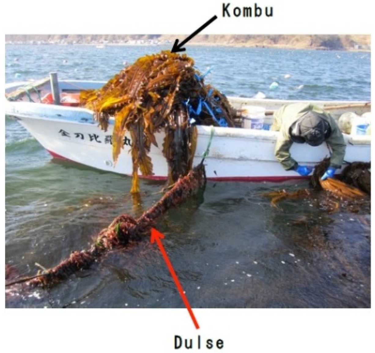 Marinedrugs 14 00032 g001