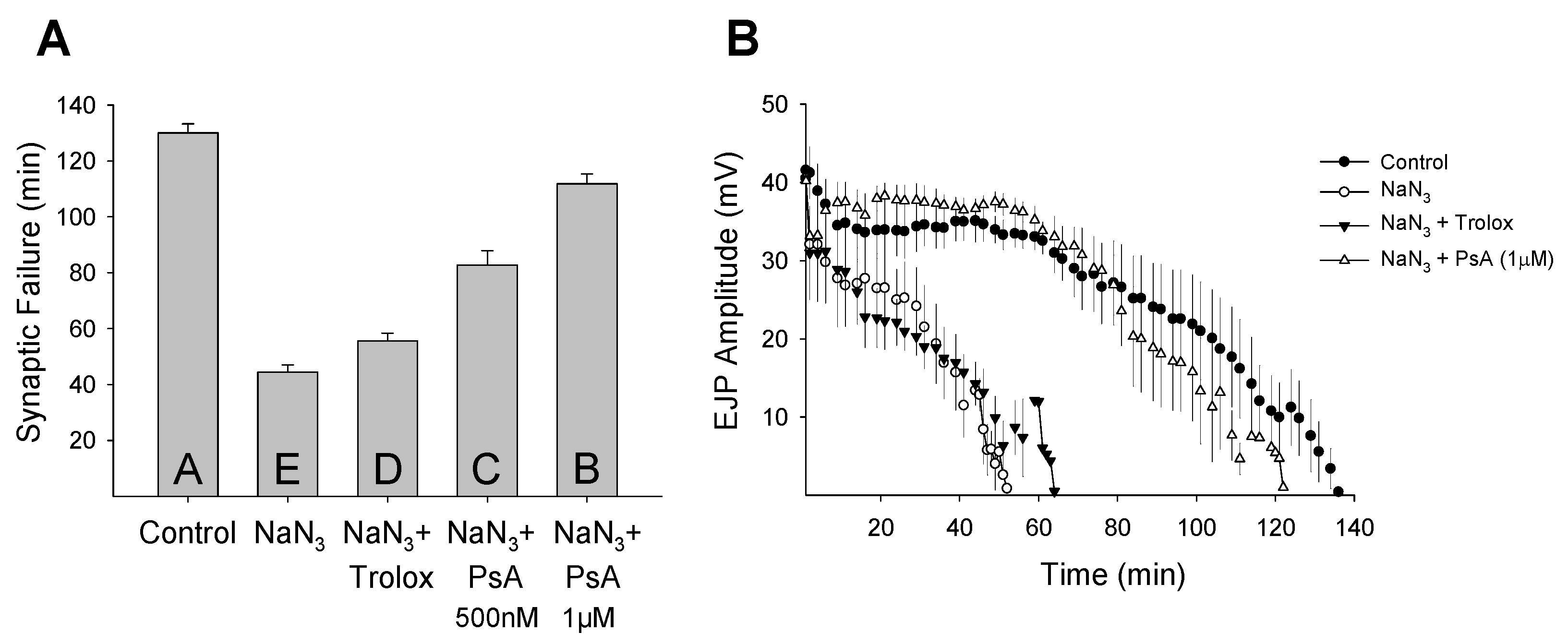 Marinedrugs 14 00055 g004