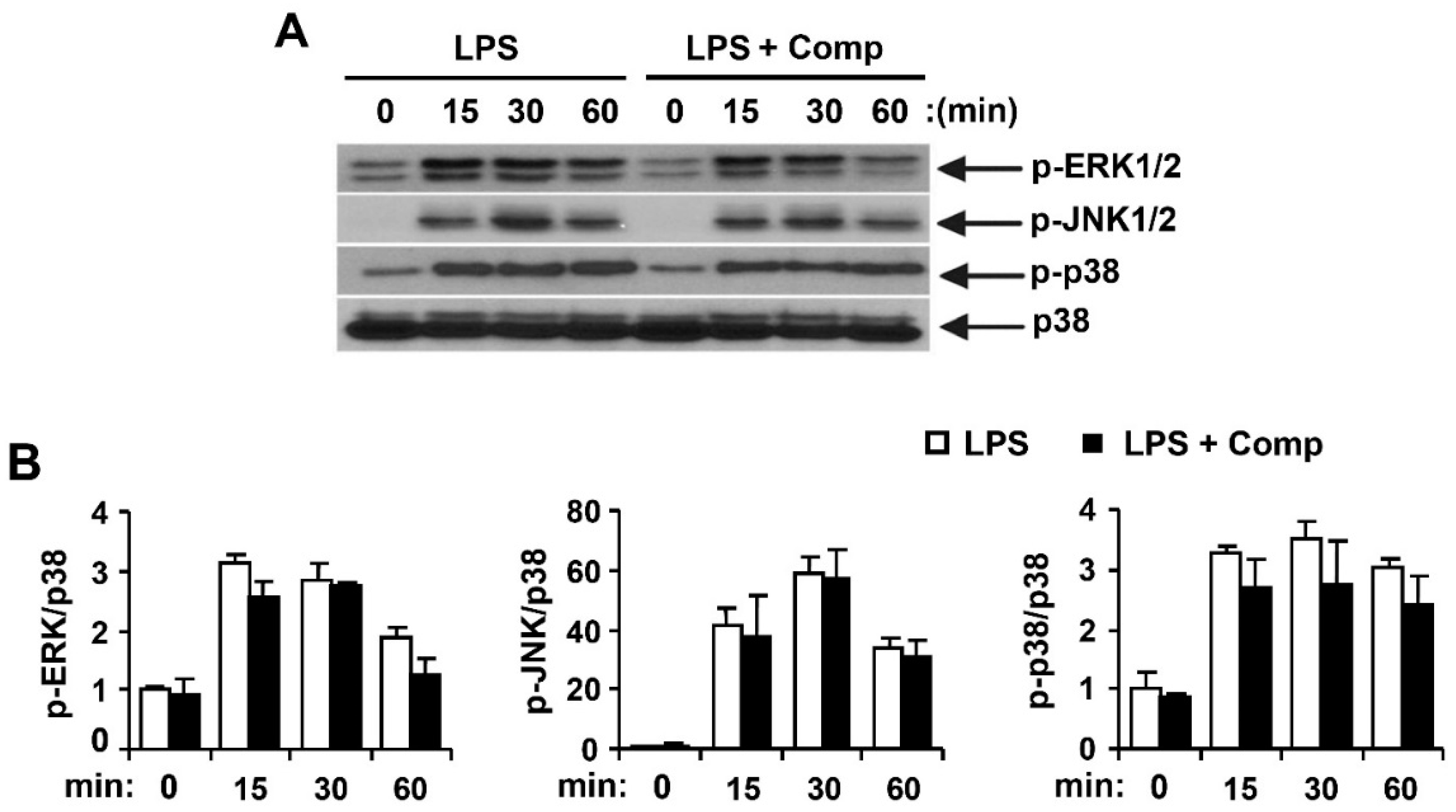 Marinedrugs 14 00088 g008