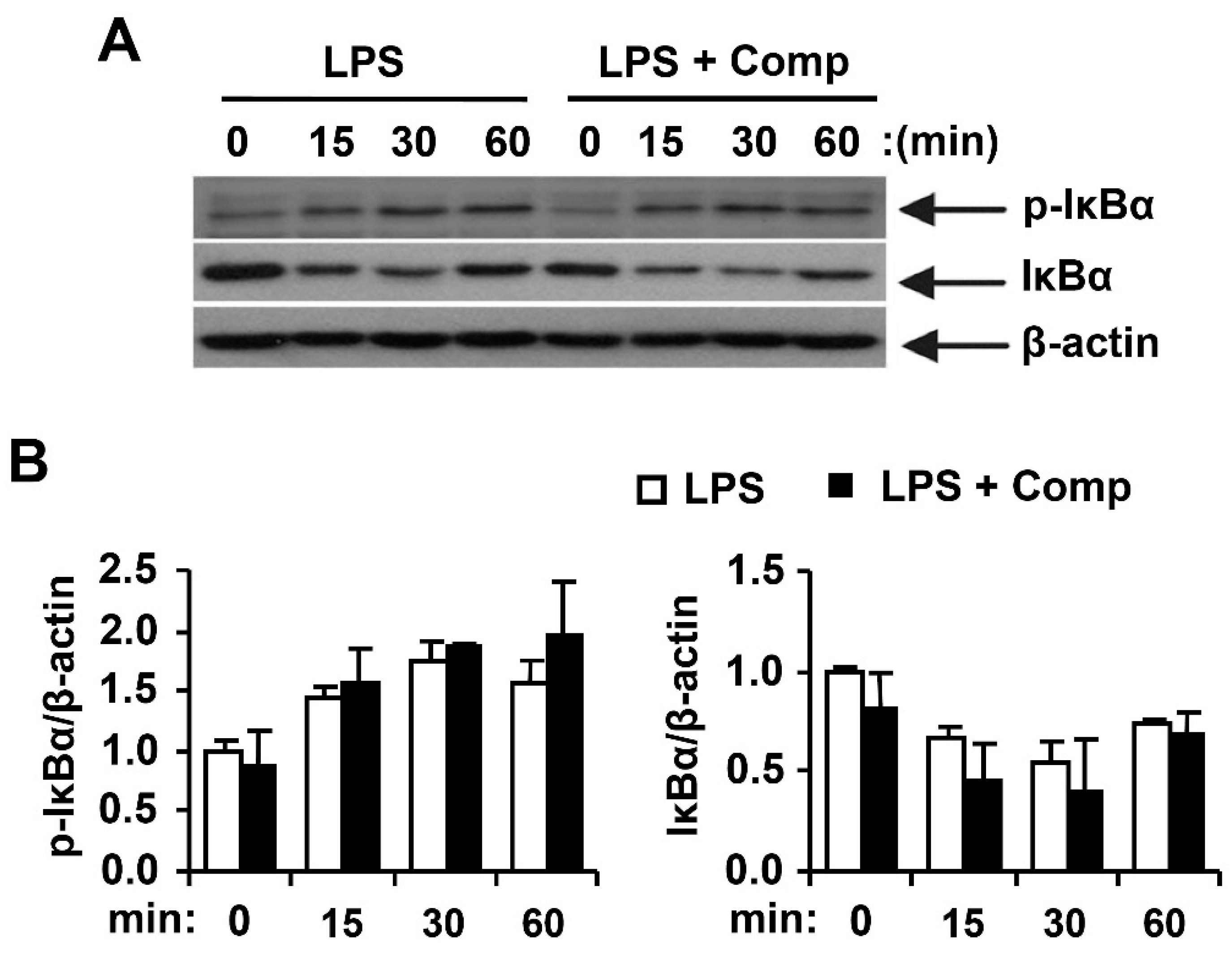 Marinedrugs 14 00088 g009