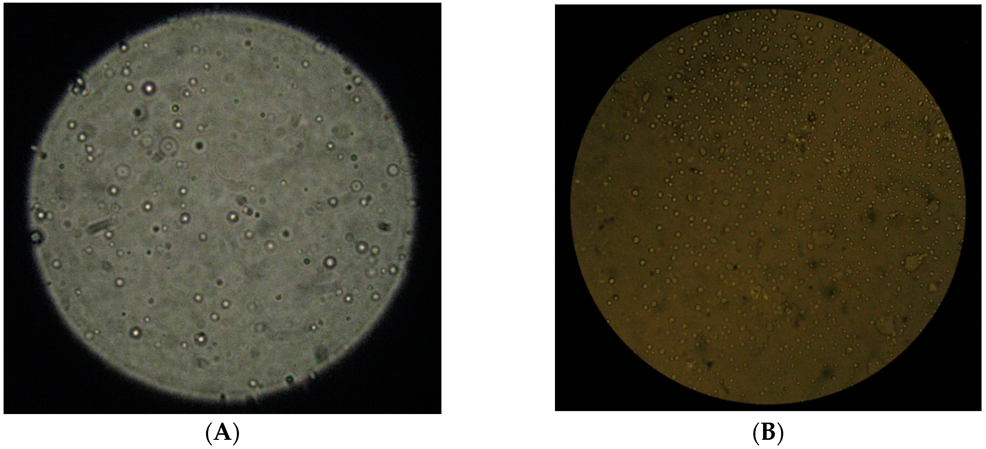 Marinedrugs 14 00090 g005