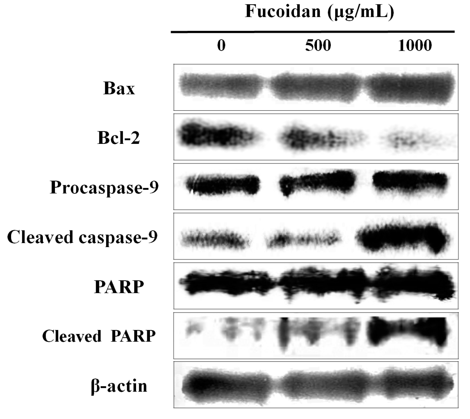 Marinedrugs 14 00126 g003