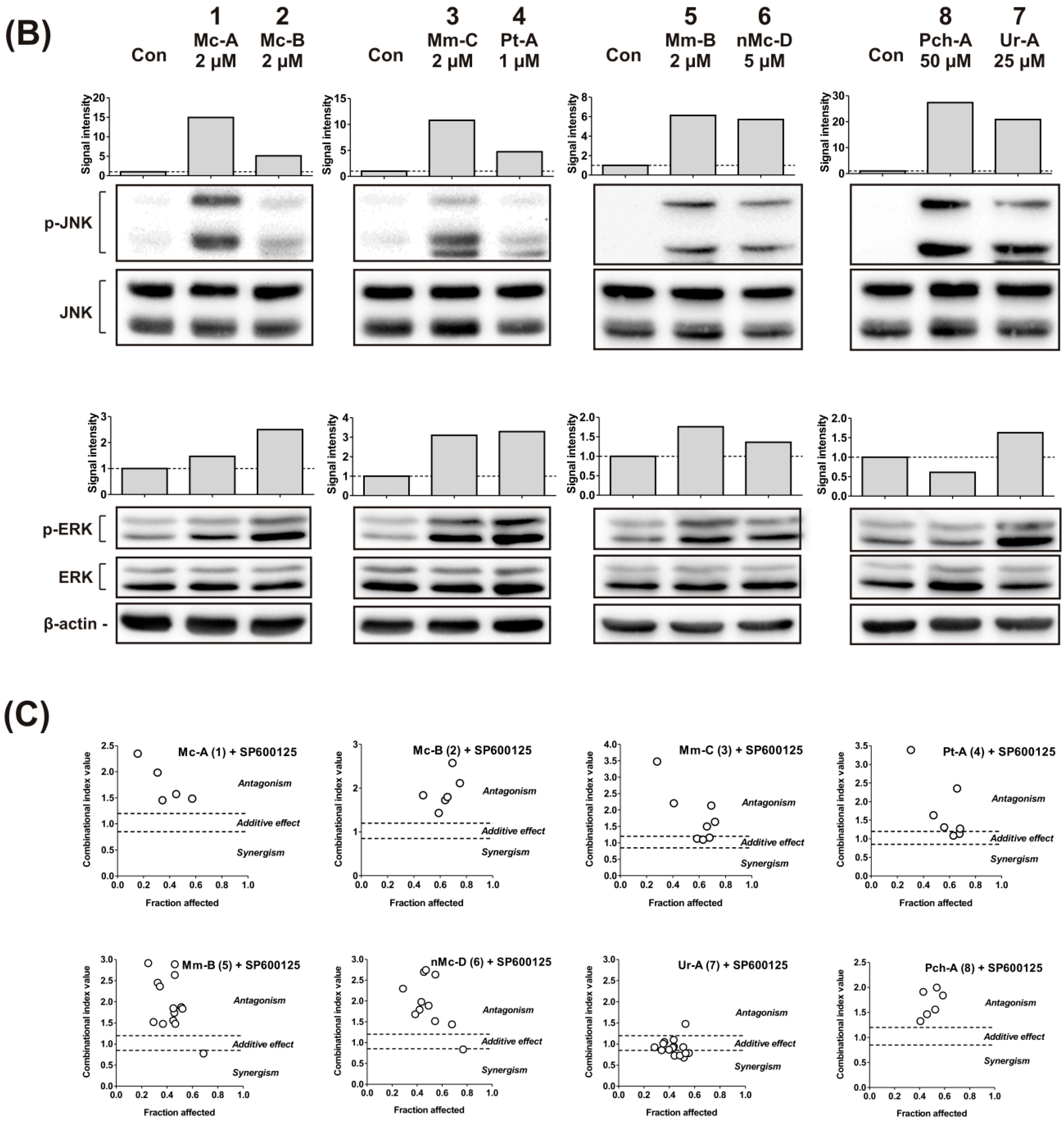 Marinedrugs 14 00133 g002b