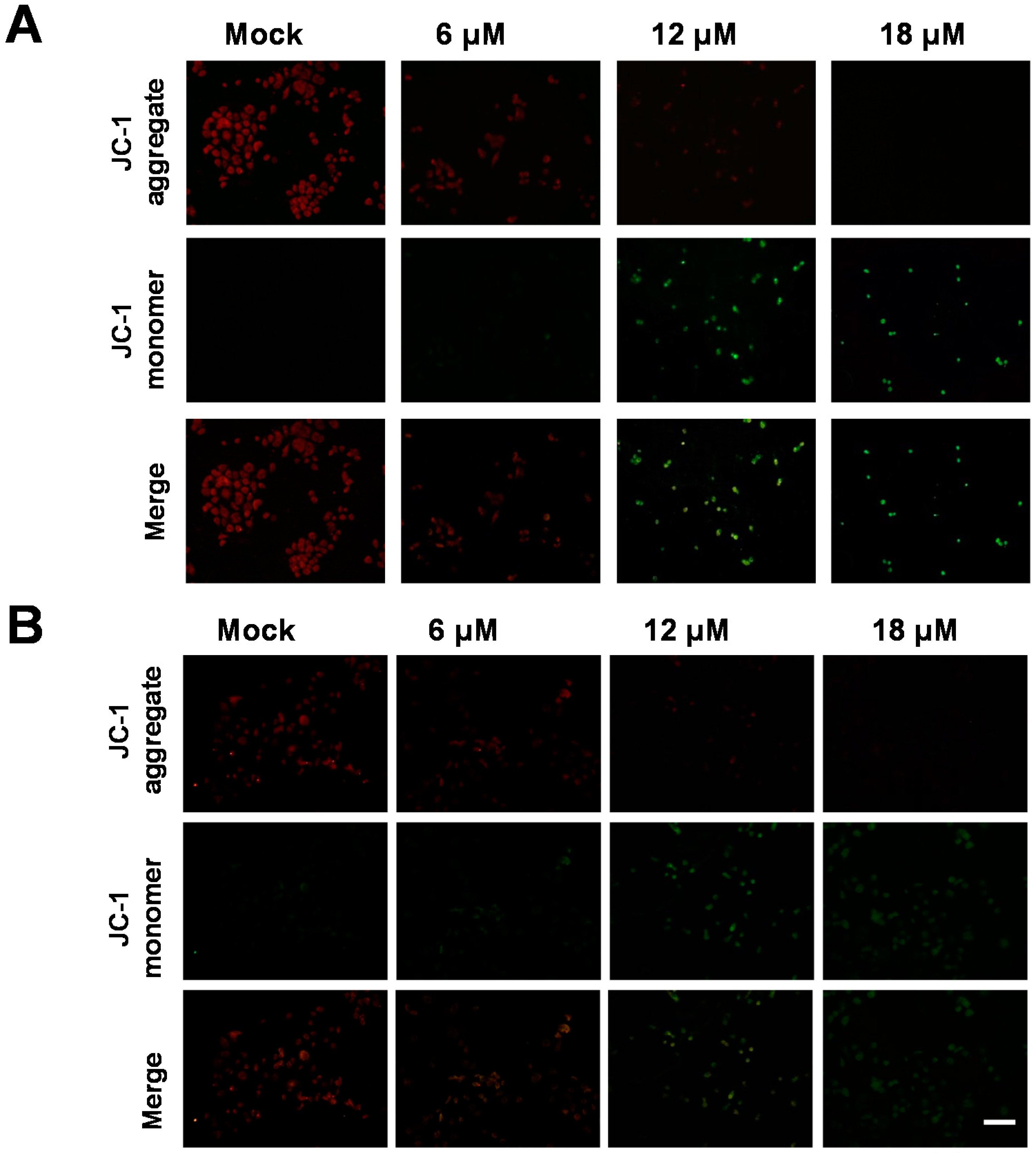 Marinedrugs 14 00142 g005