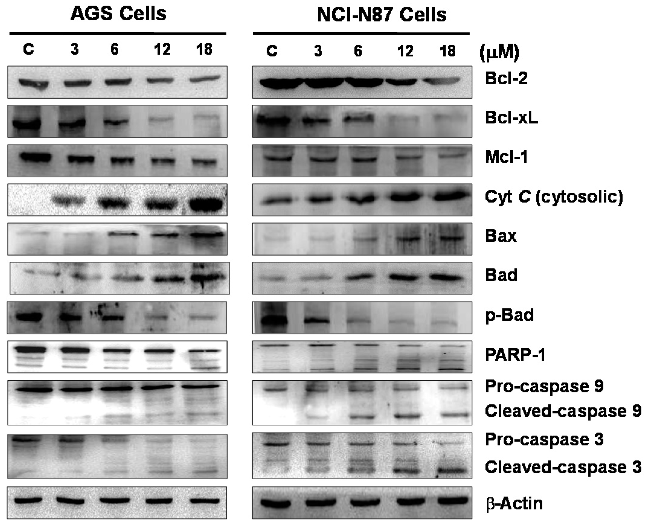 Marinedrugs 14 00142 g006