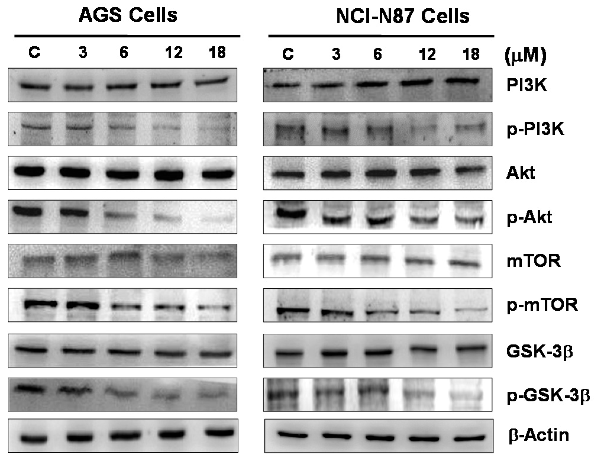 Marinedrugs 14 00142 g007