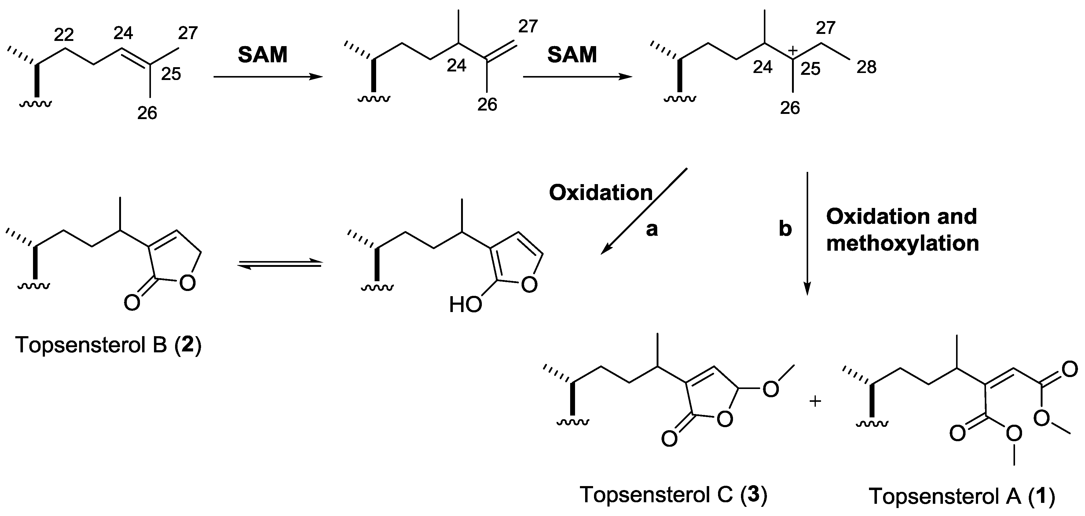 Marinedrugs 14 00146 sch001