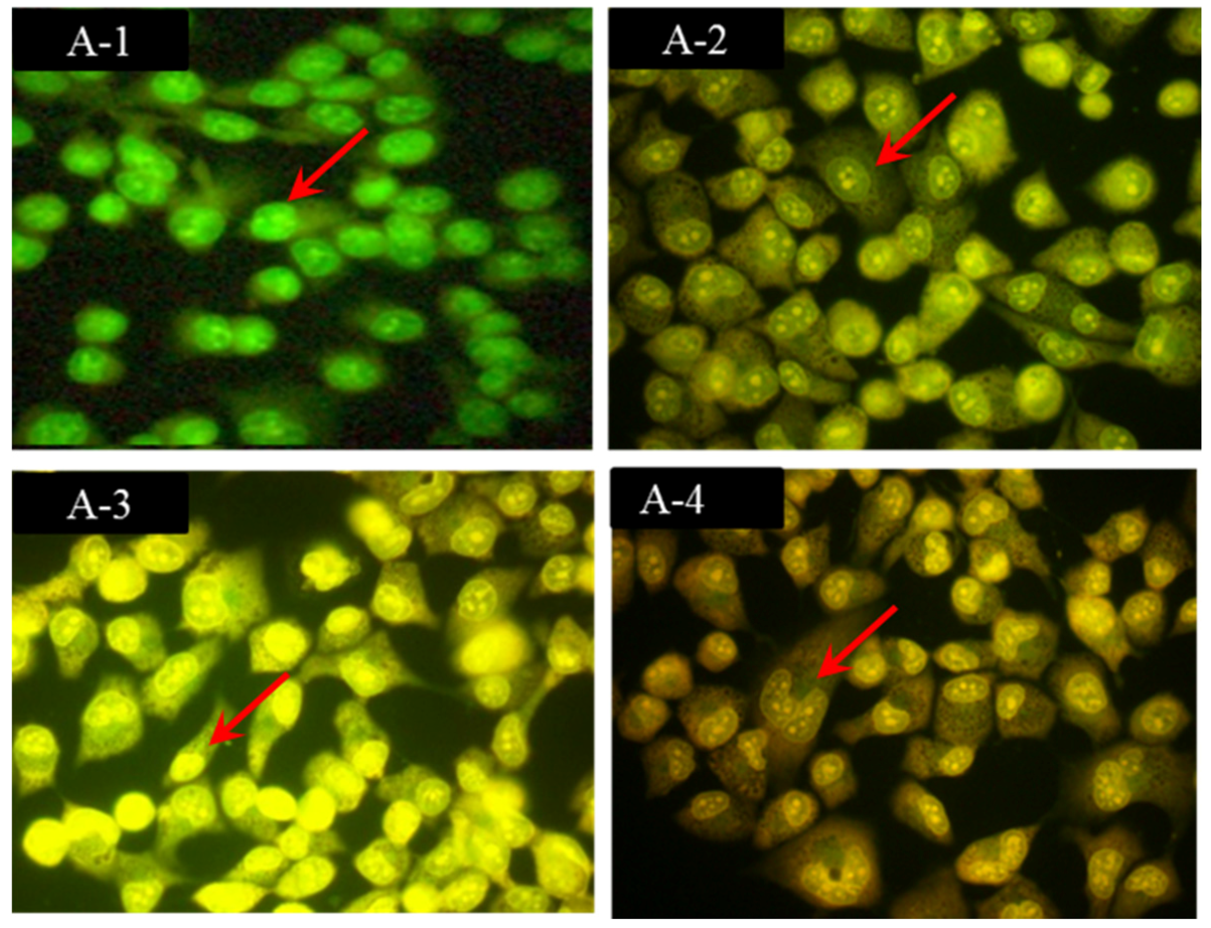 Marinedrugs 14 00153 g002