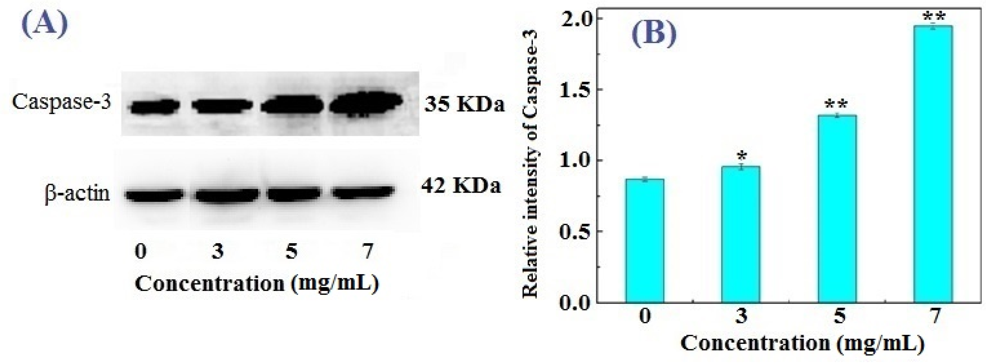 Marinedrugs 14 00153 g005