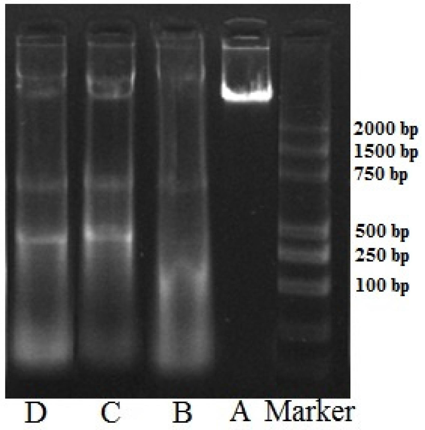 Marinedrugs 14 00153 g006