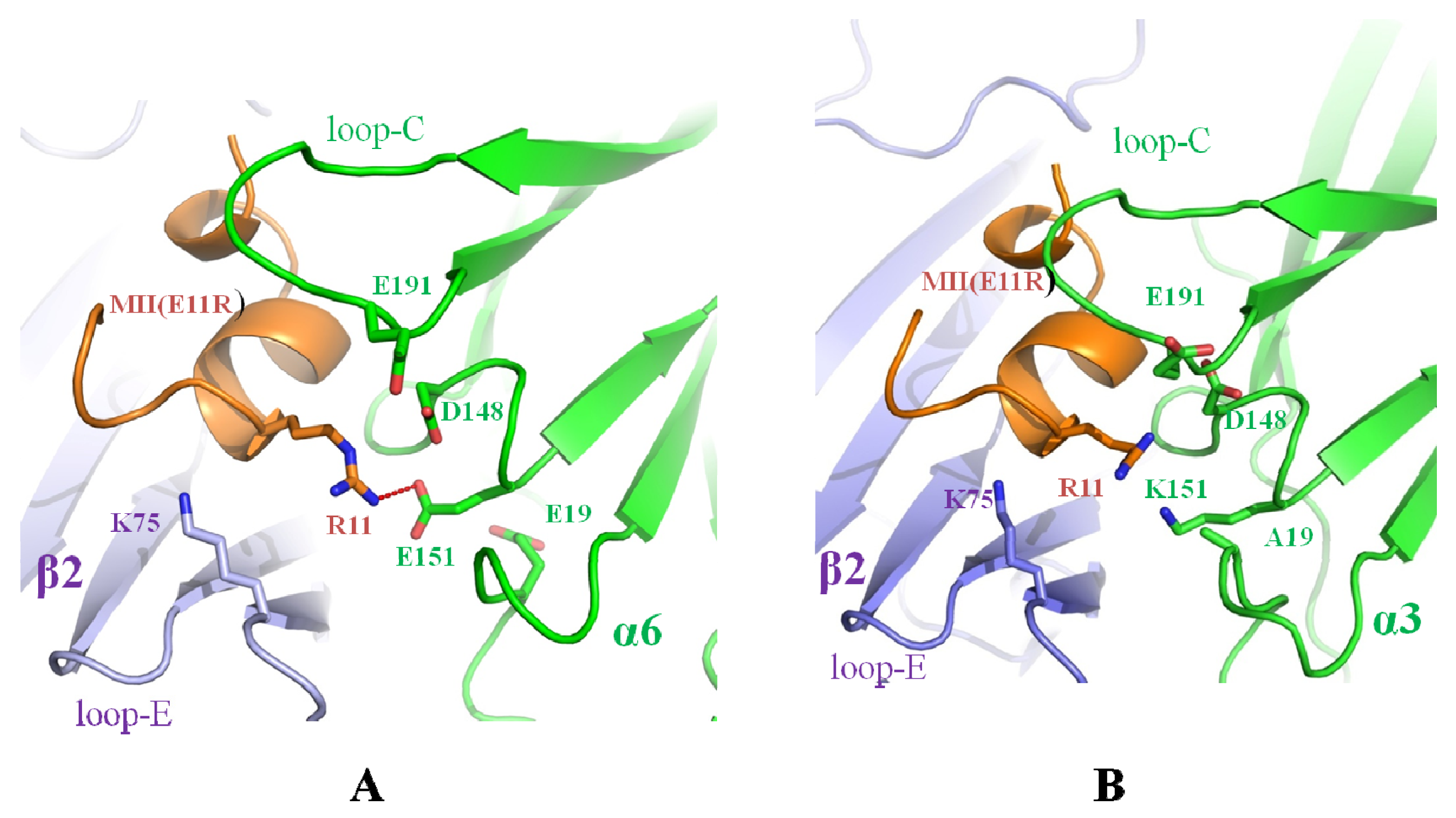 Marinedrugs 14 00173 g008