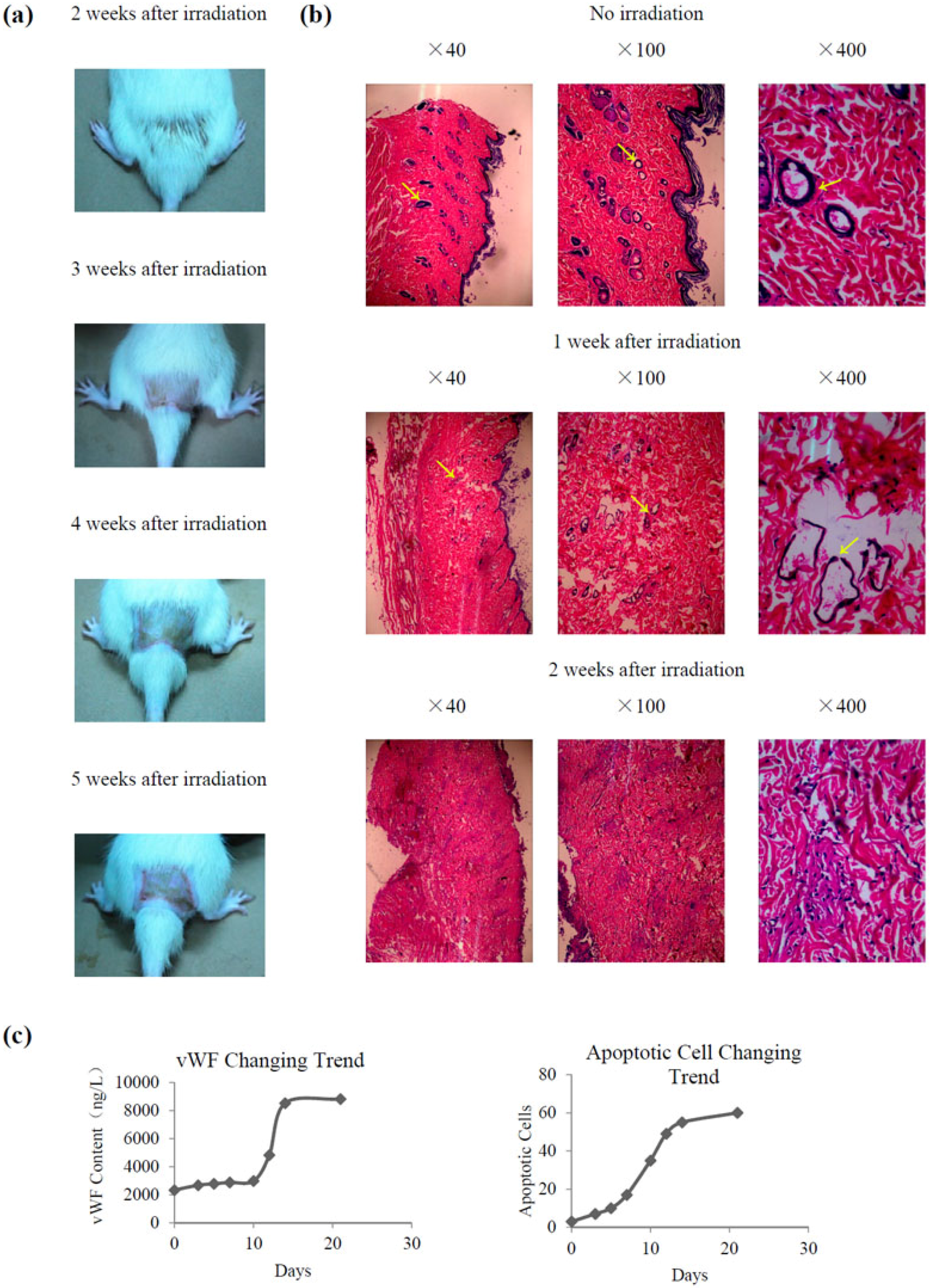 Marinedrugs 14 00182 g002