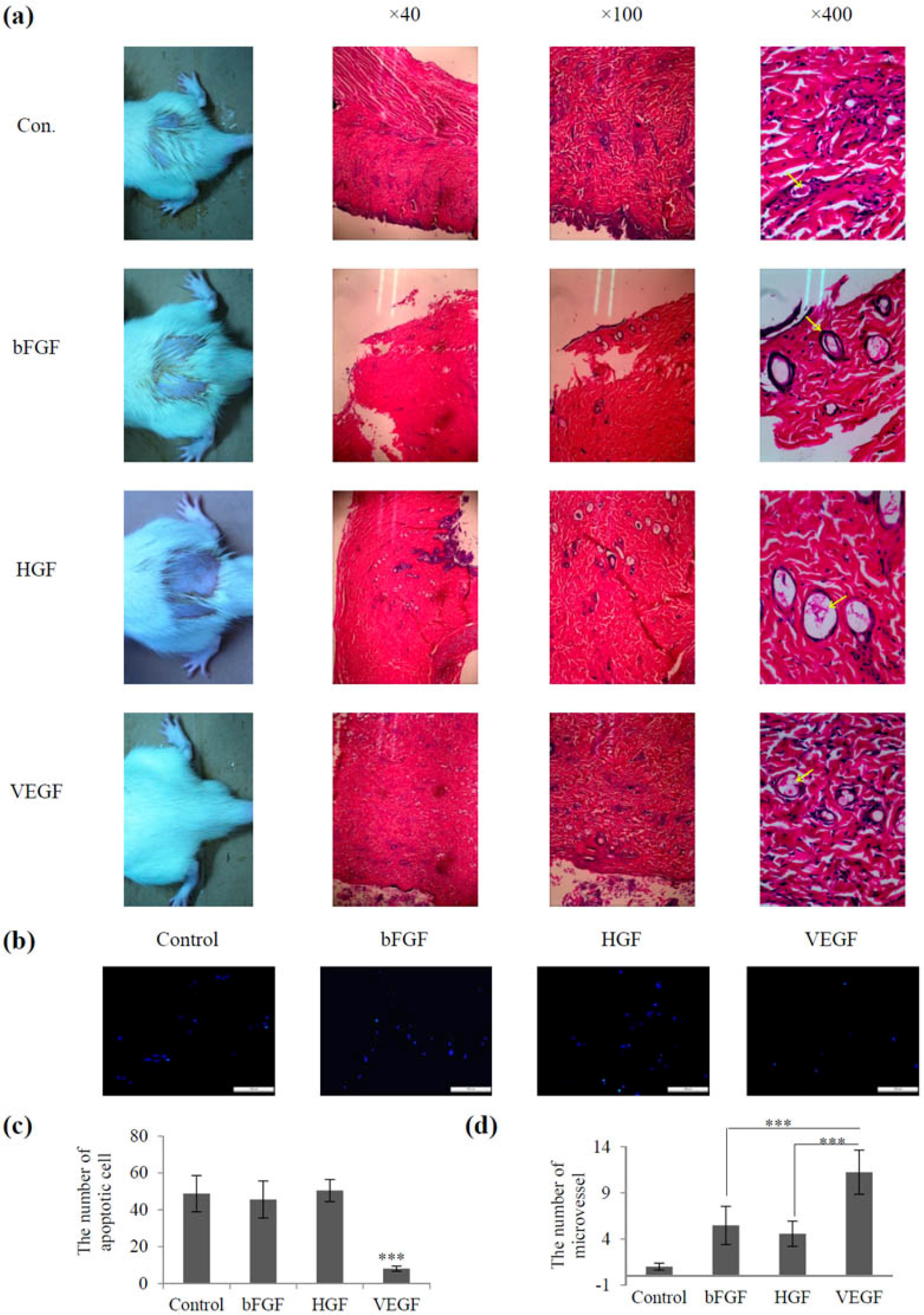 Marinedrugs 14 00182 g003