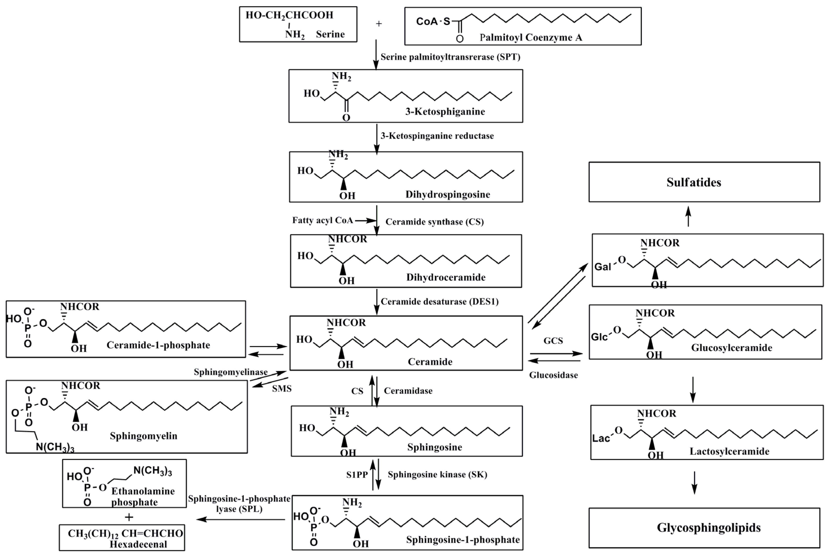Marinedrugs 14 00205 g001