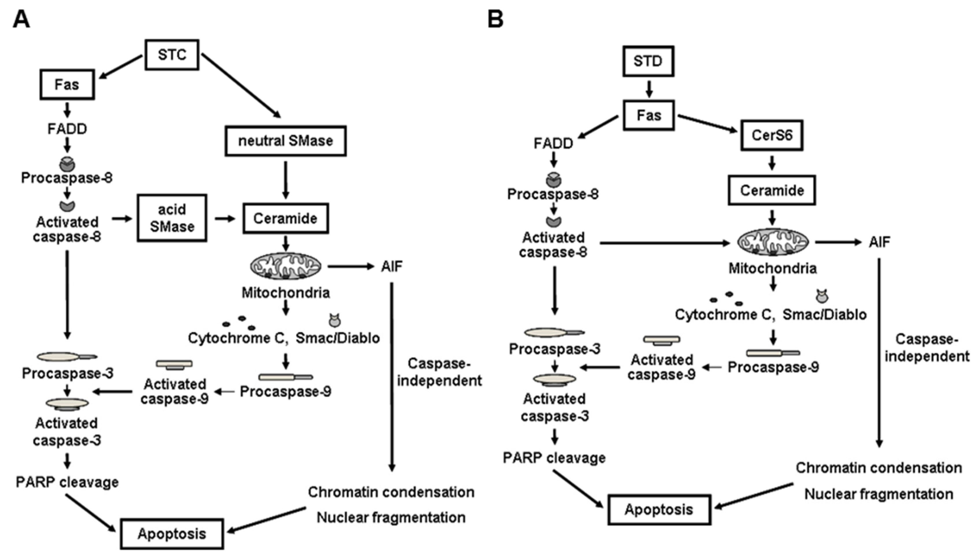 Marinedrugs 14 00205 g003