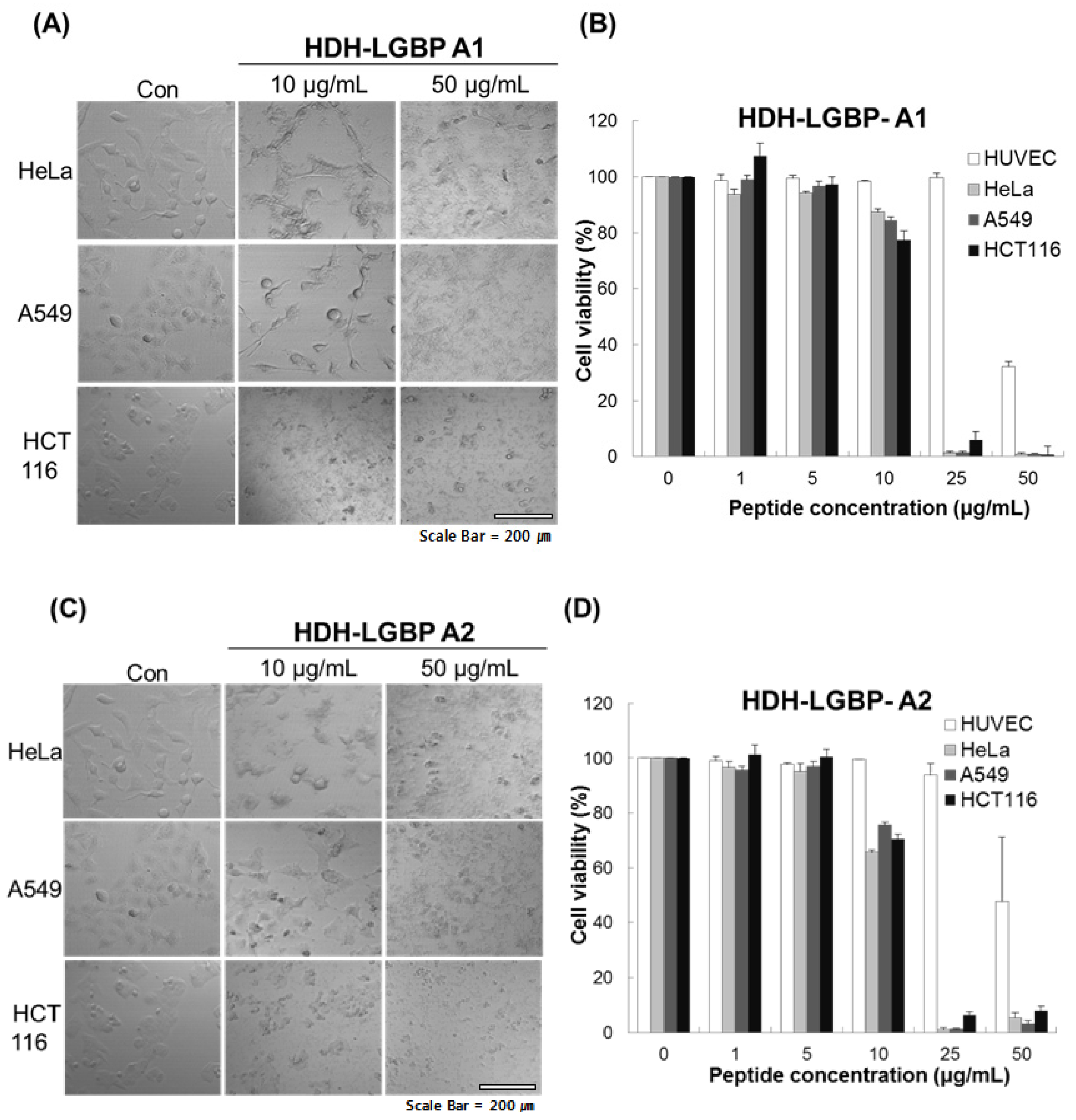 Marinedrugs 14 00227 g004