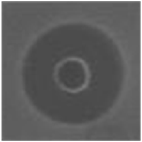 Marinedrugs 14 00227 i004