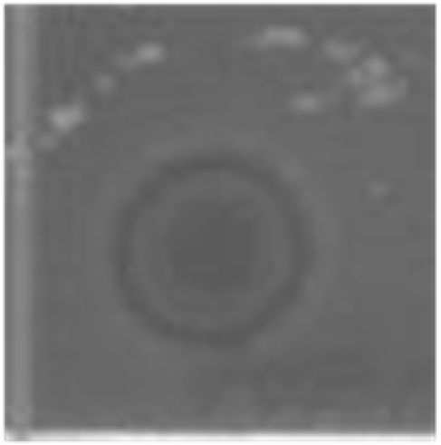 Marinedrugs 14 00227 i005