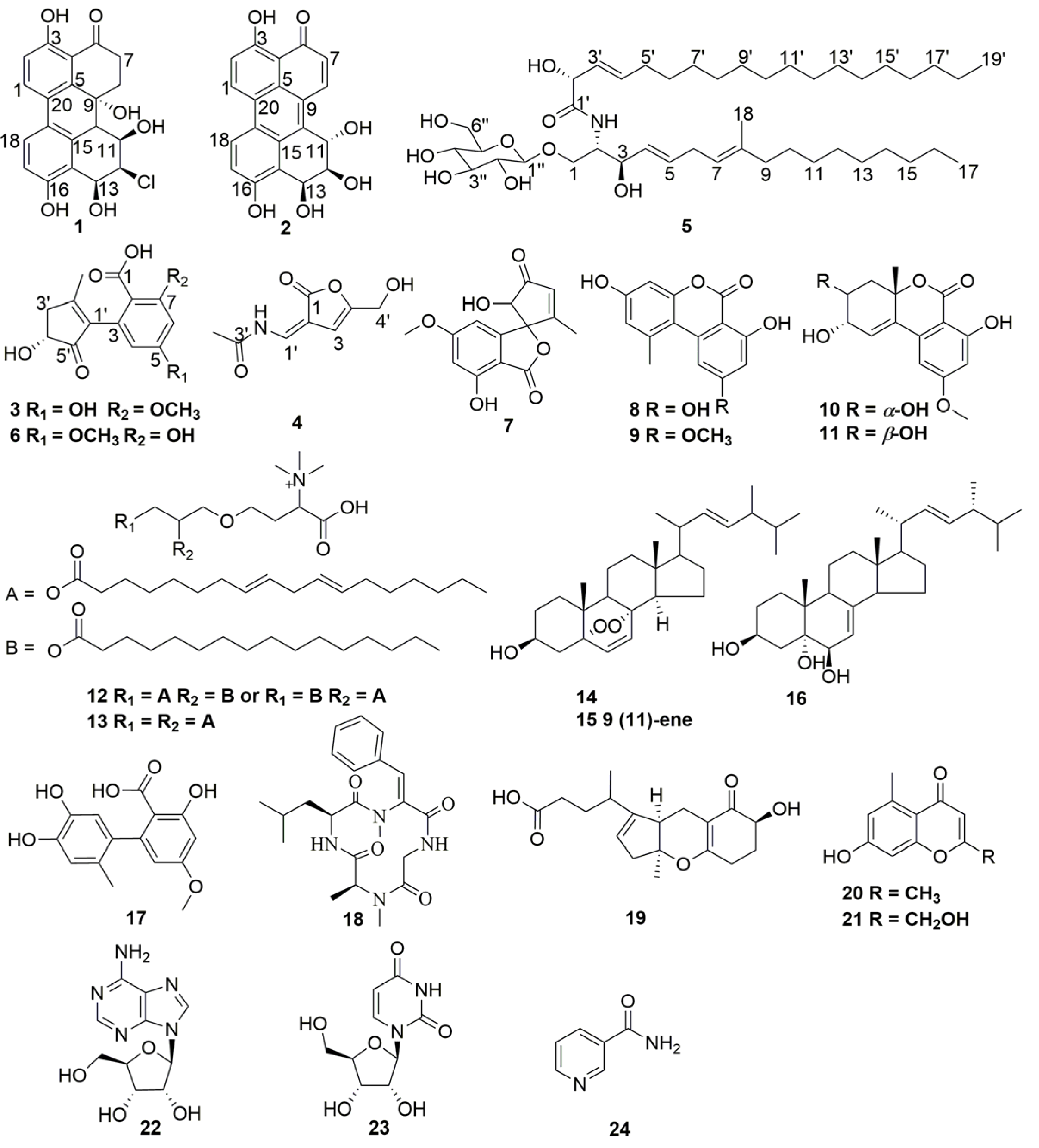 Marinedrugs 15 00076 g001