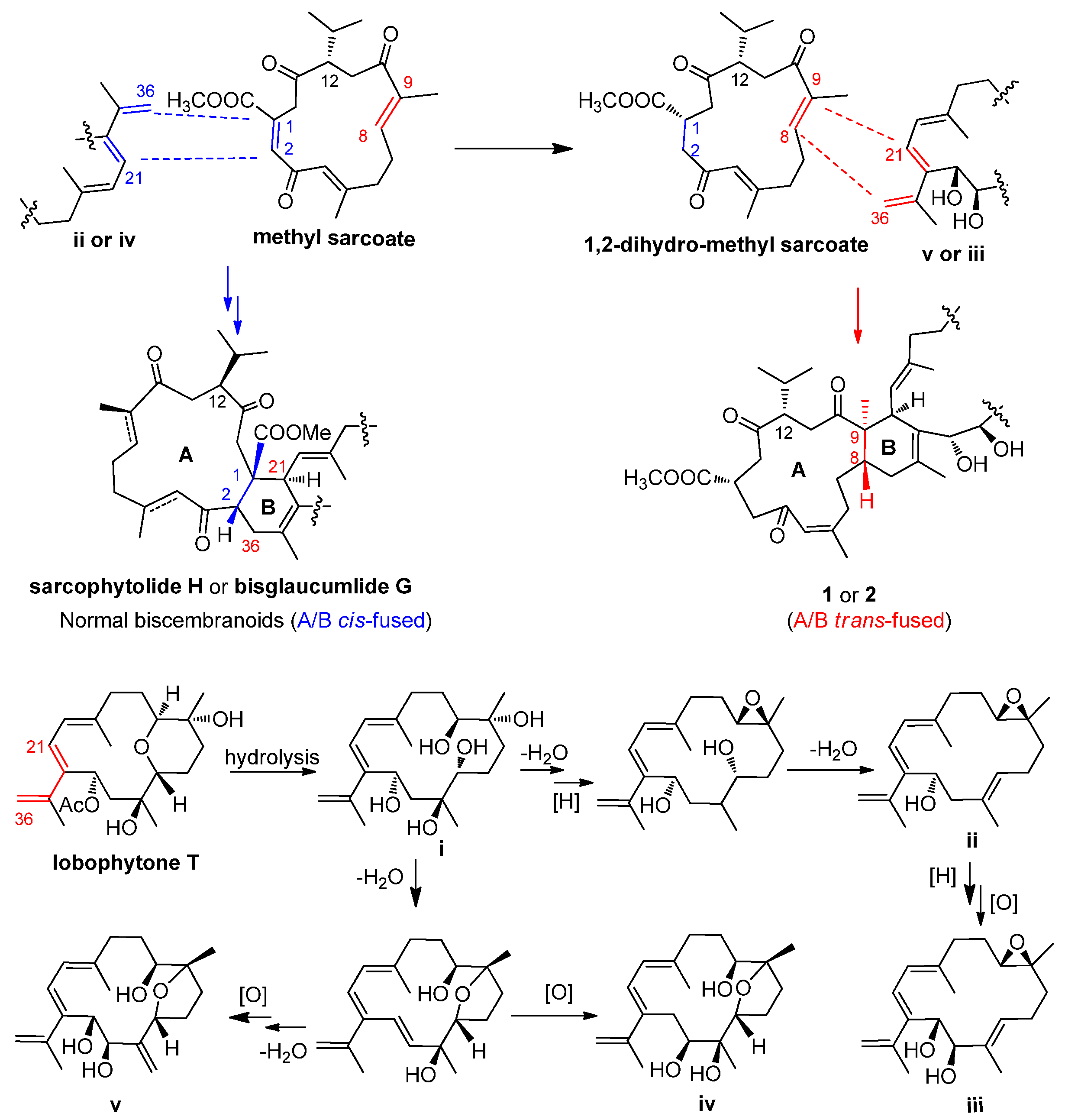 Marinedrugs 15 00085 sch001