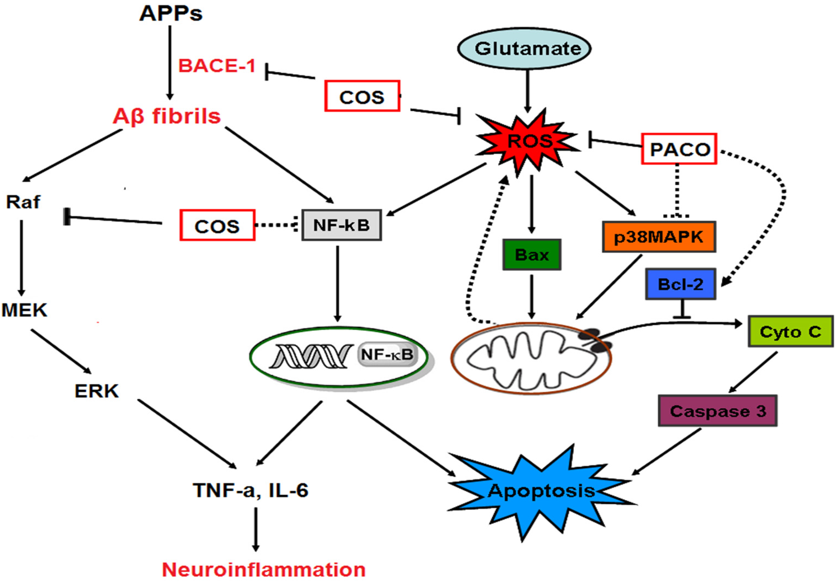 Marinedrugs 15 00089 g002