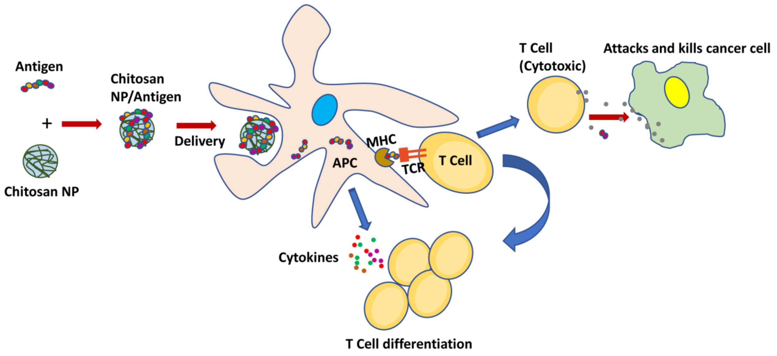 Marinedrugs 15 00096 g005