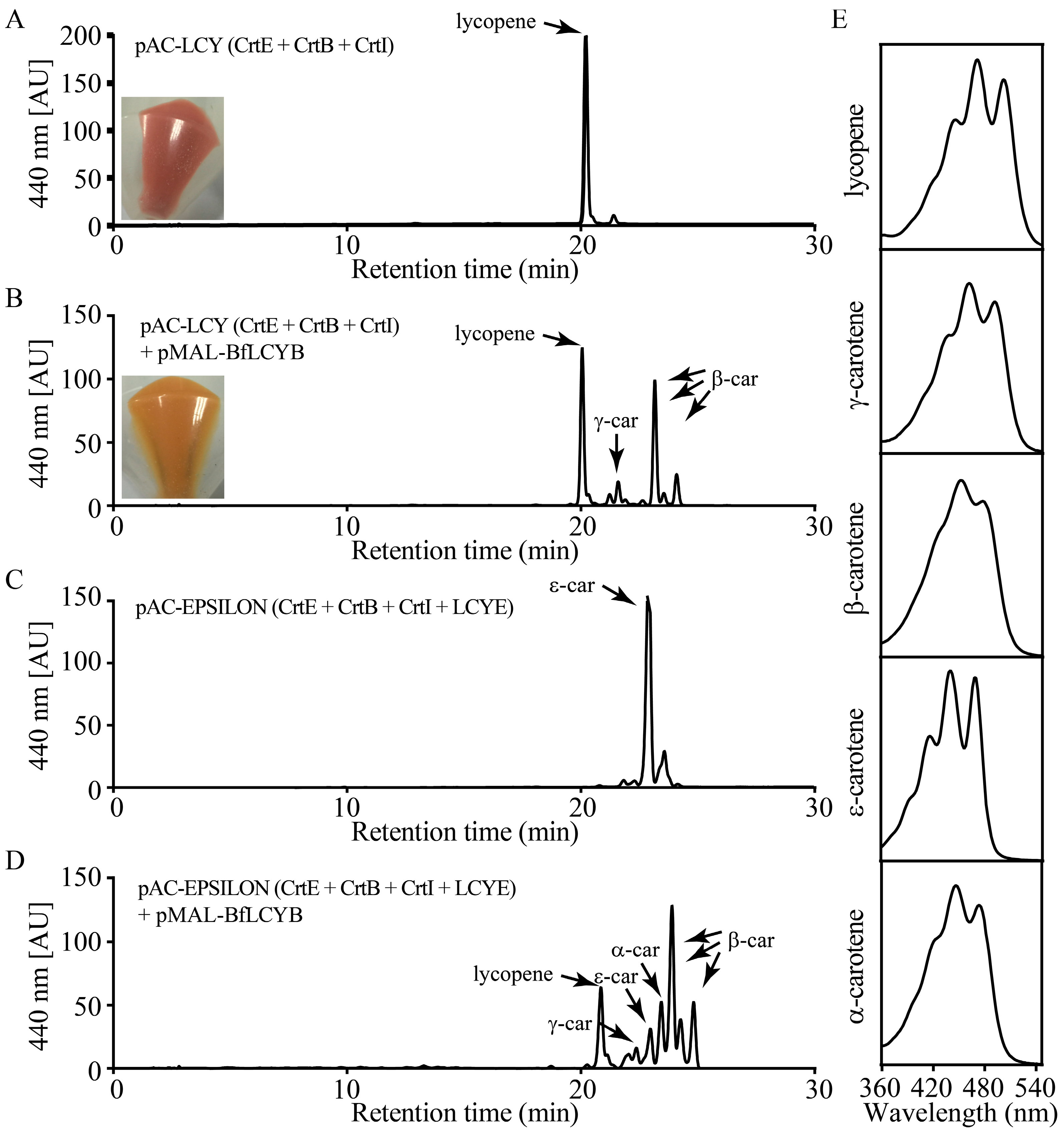 Marinedrugs 15 00116 g004