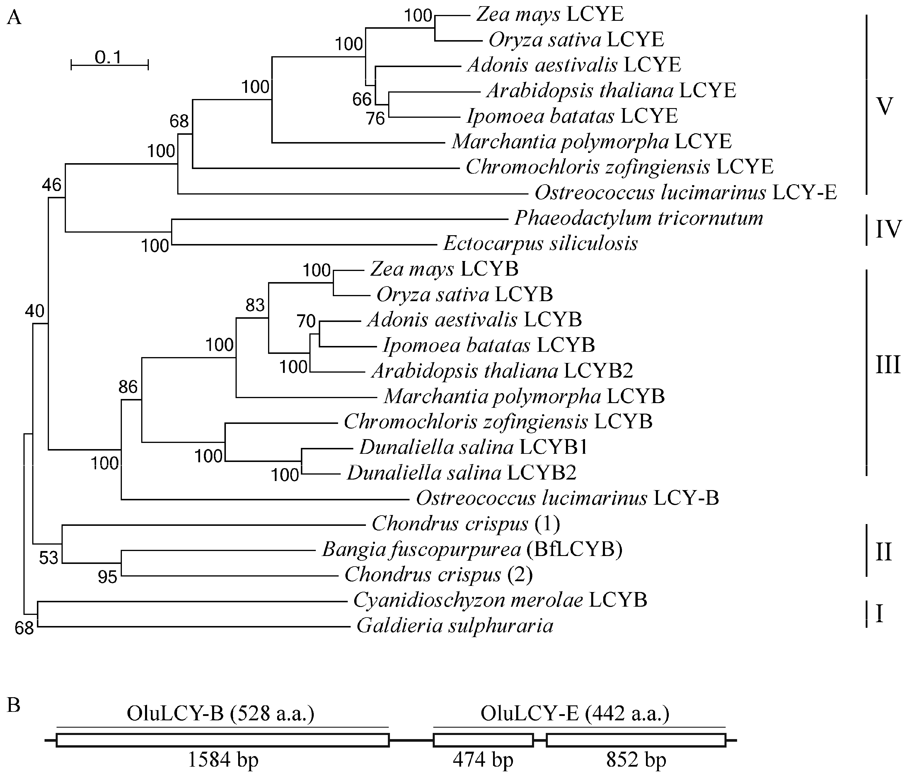 Marinedrugs 15 00116 g005