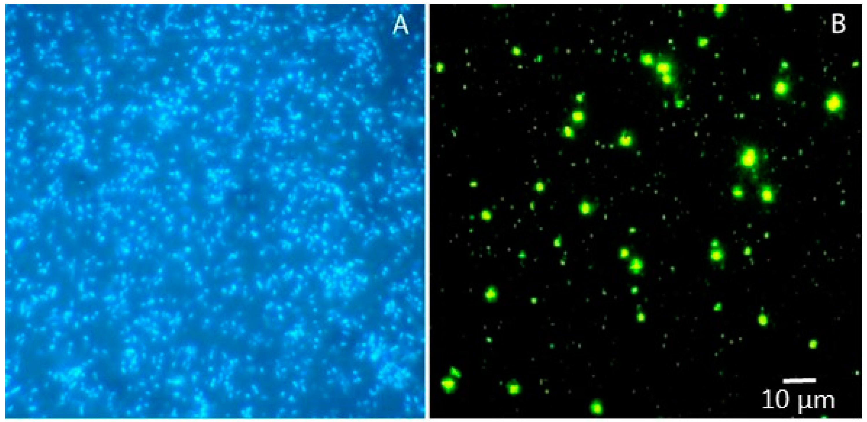 Marinedrugs 15 00118 g002