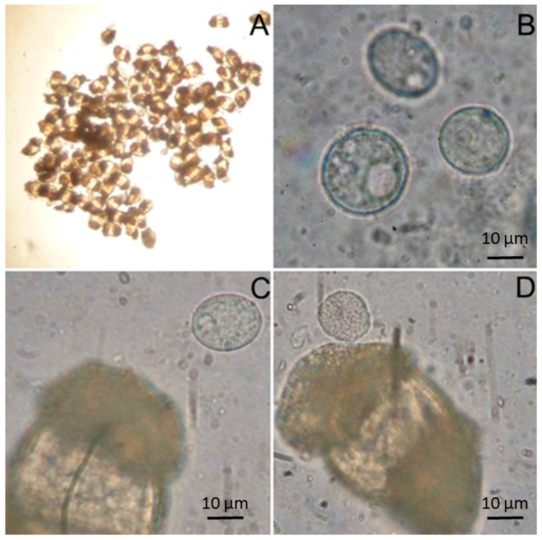 Marinedrugs 15 00118 g003