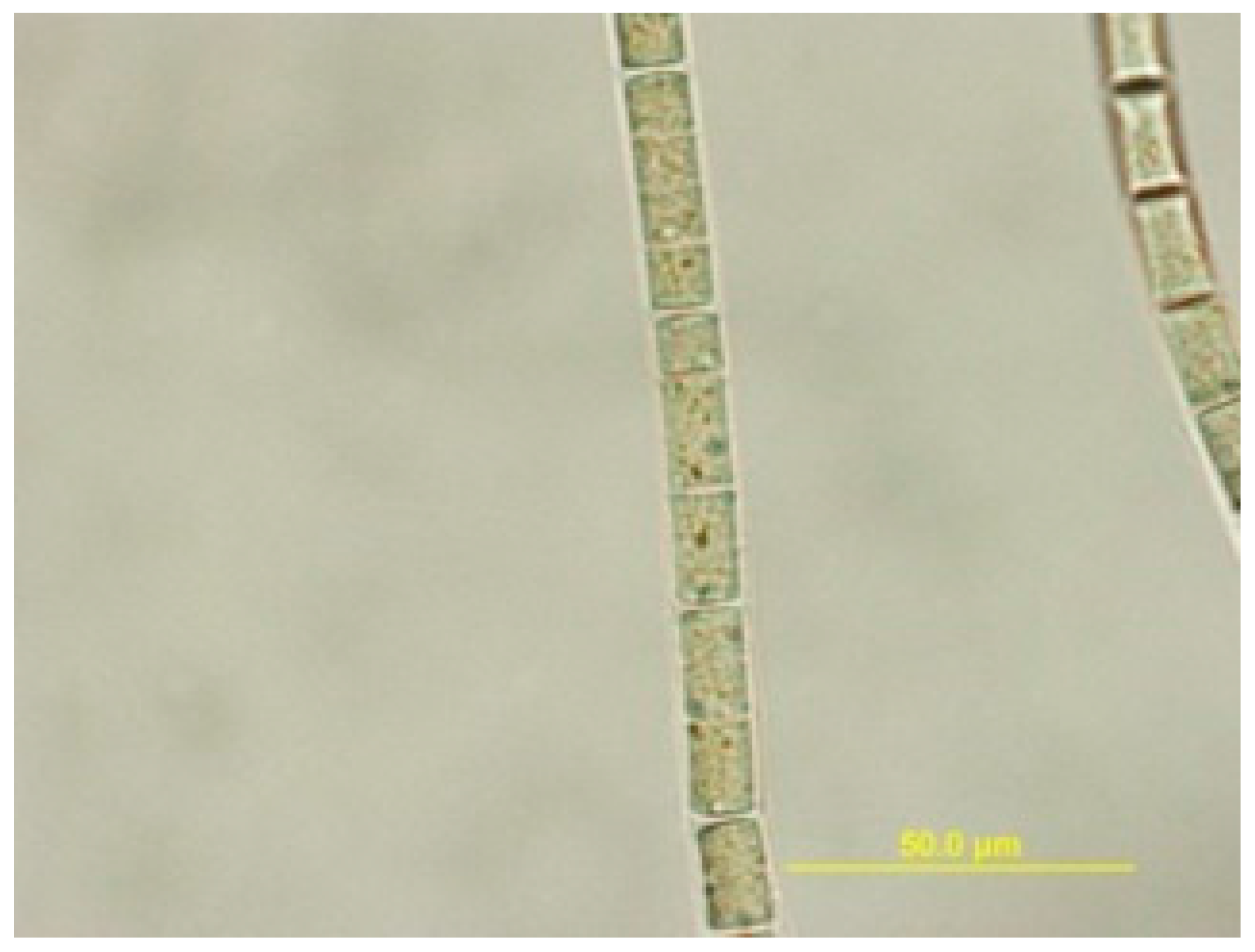 Marinedrugs 15 00121 g002