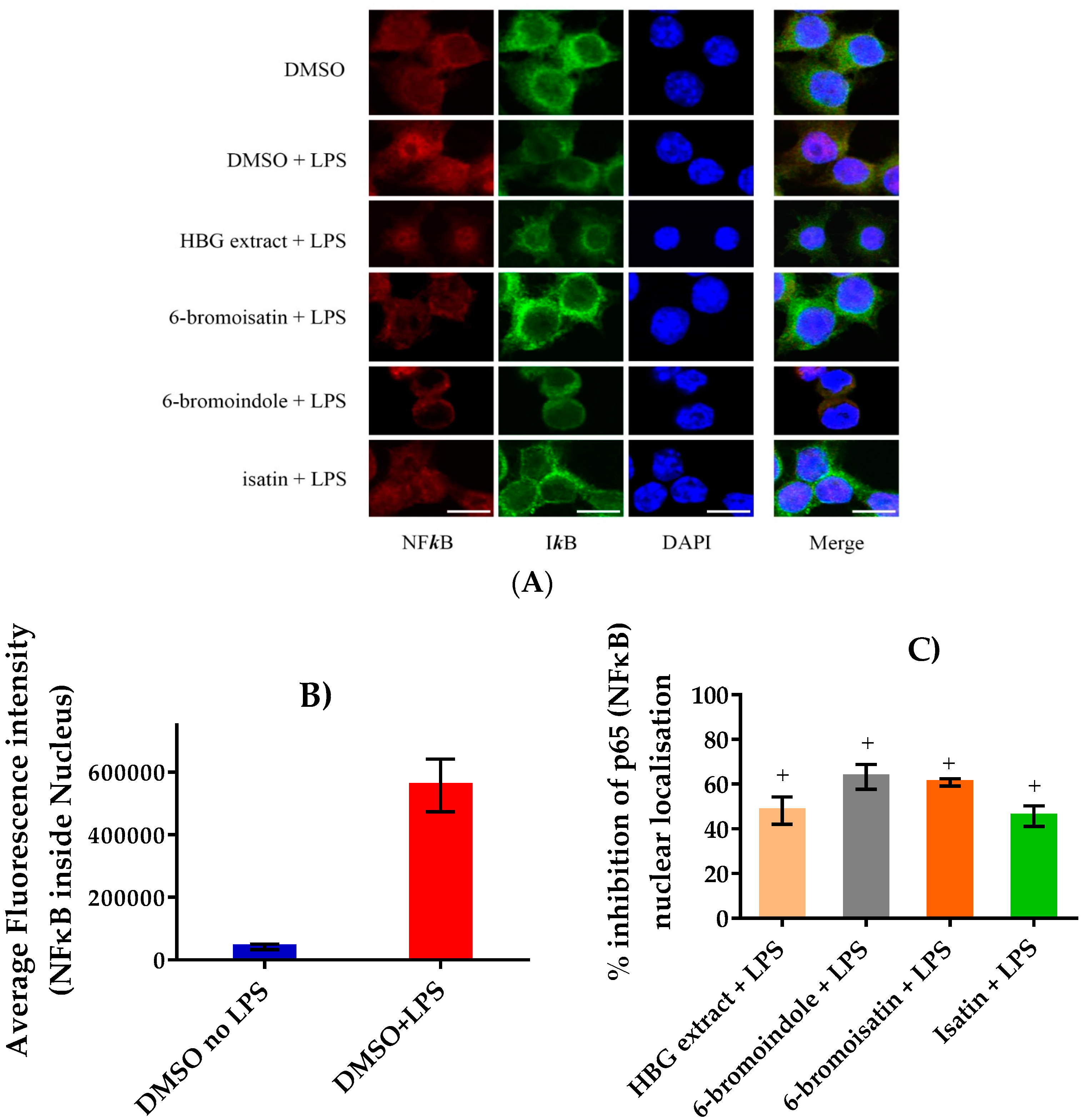 Marinedrugs 15 00133 g006