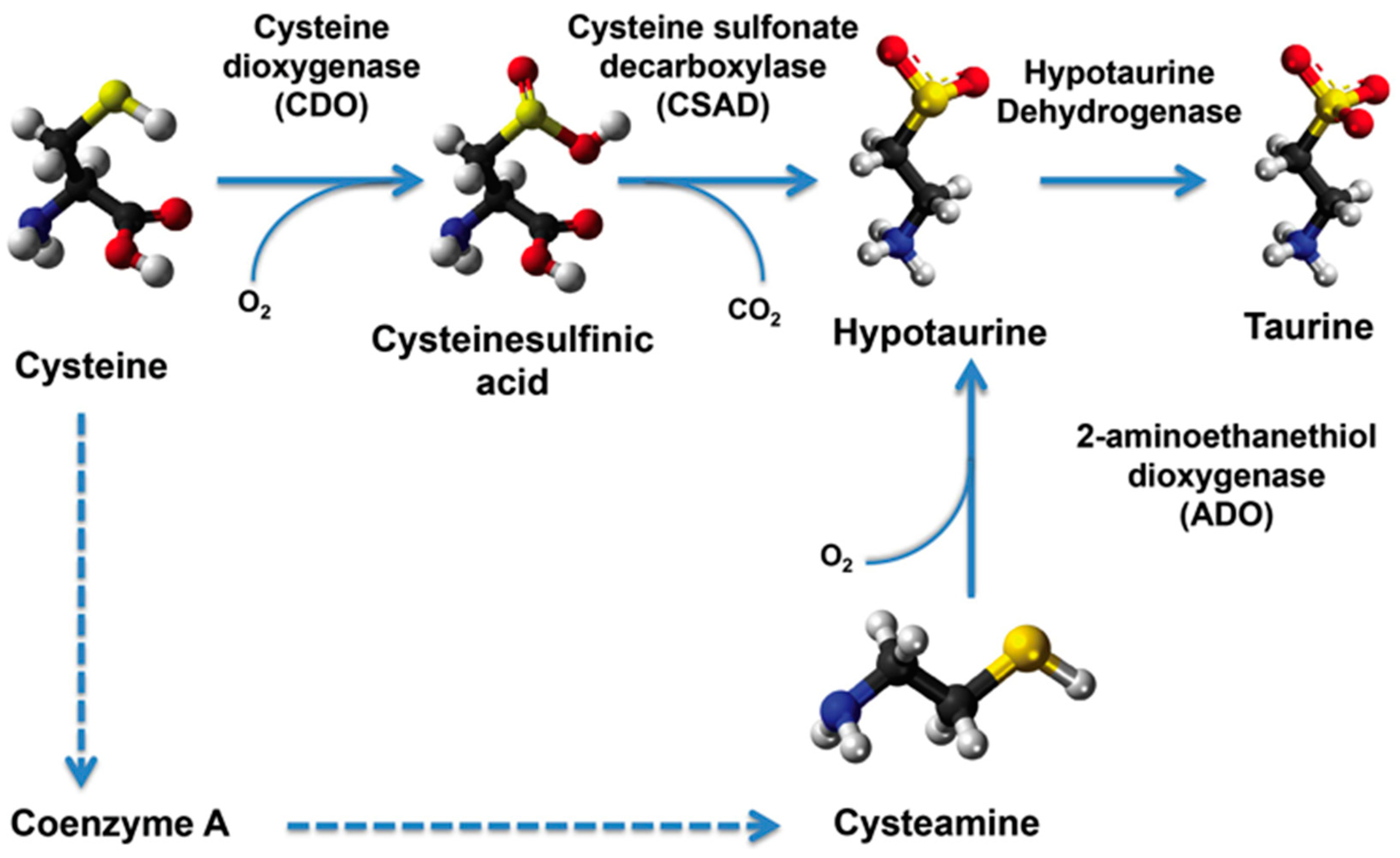 Marinedrugs 15 00147 g001
