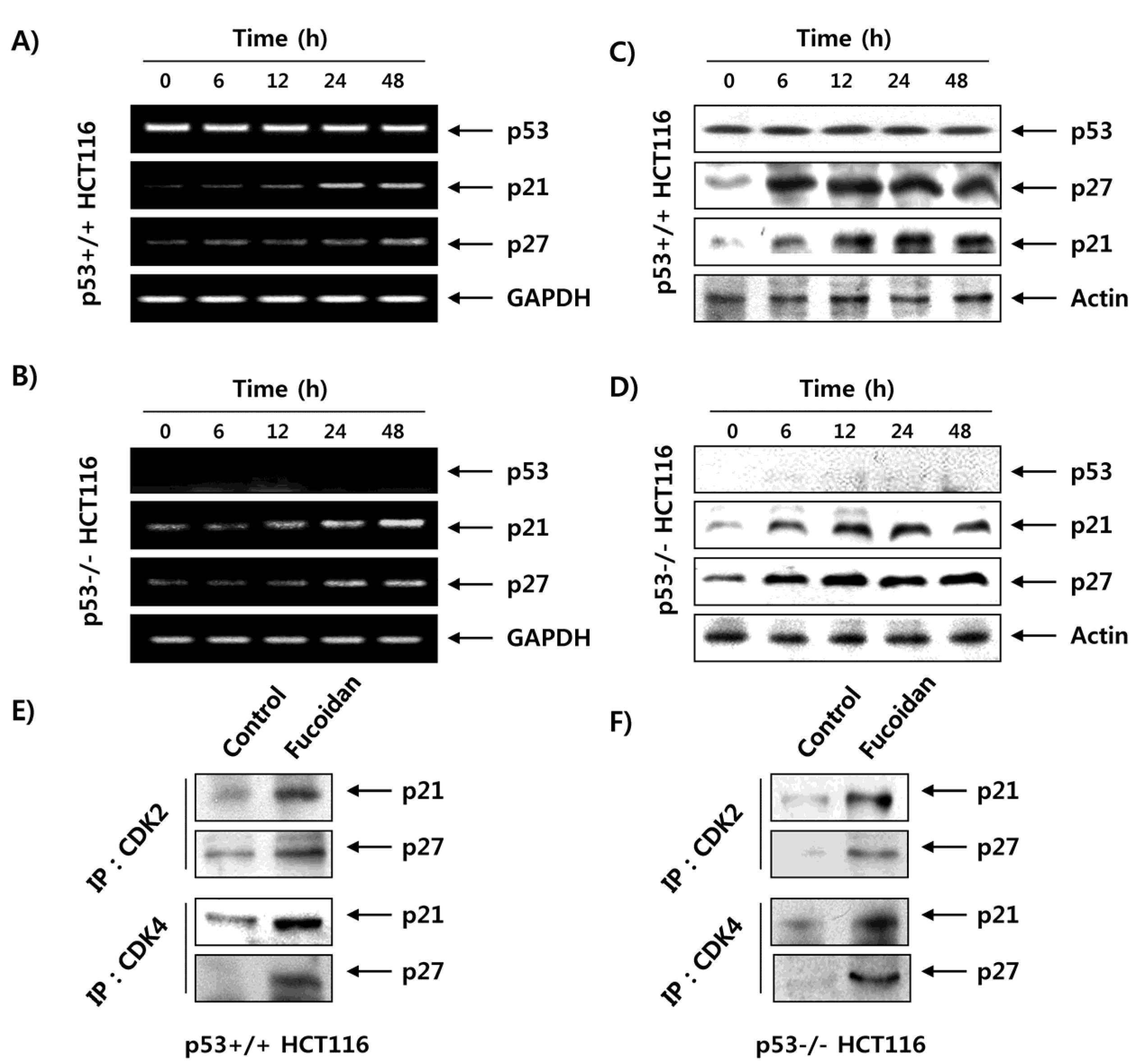 Marinedrugs 15 00154 g008