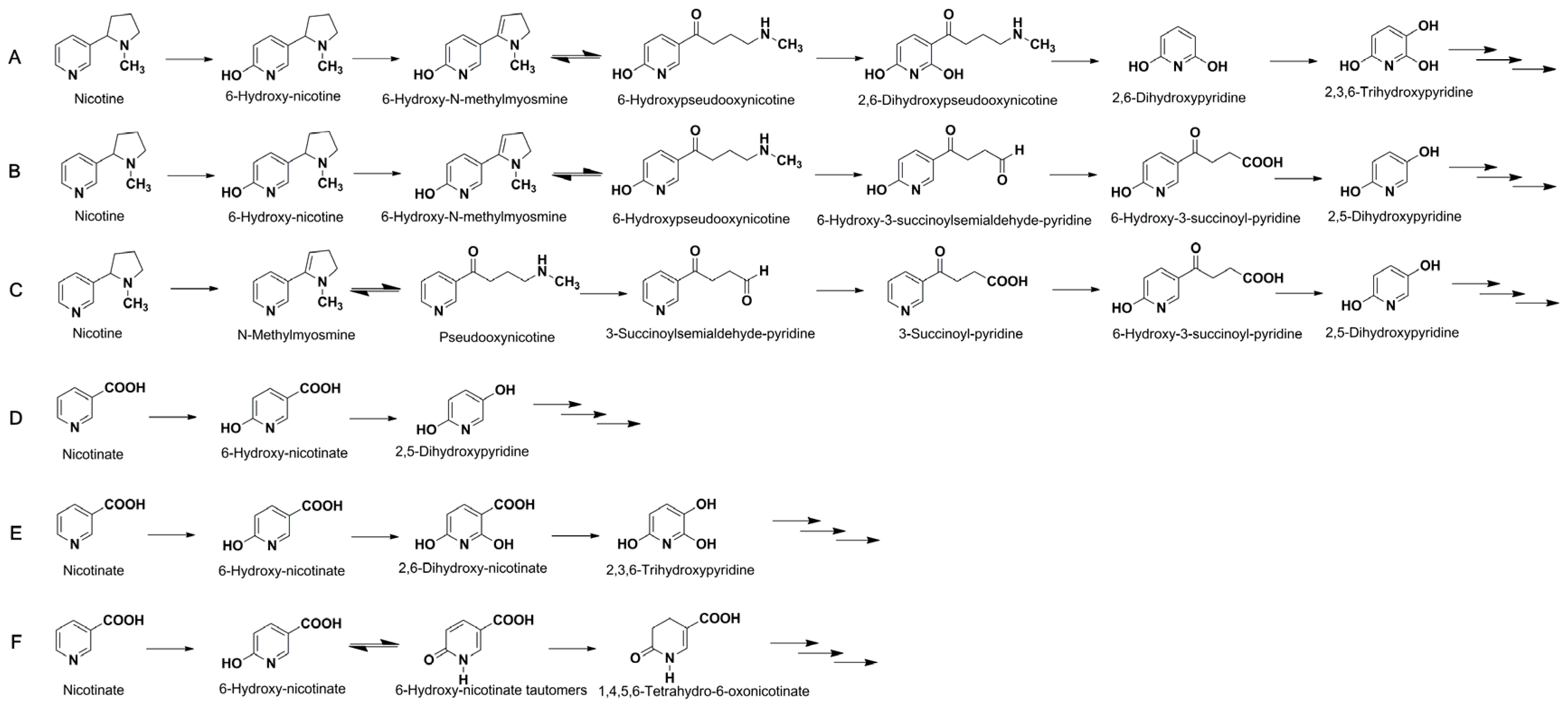 Marinedrugs 15 00156 g001
