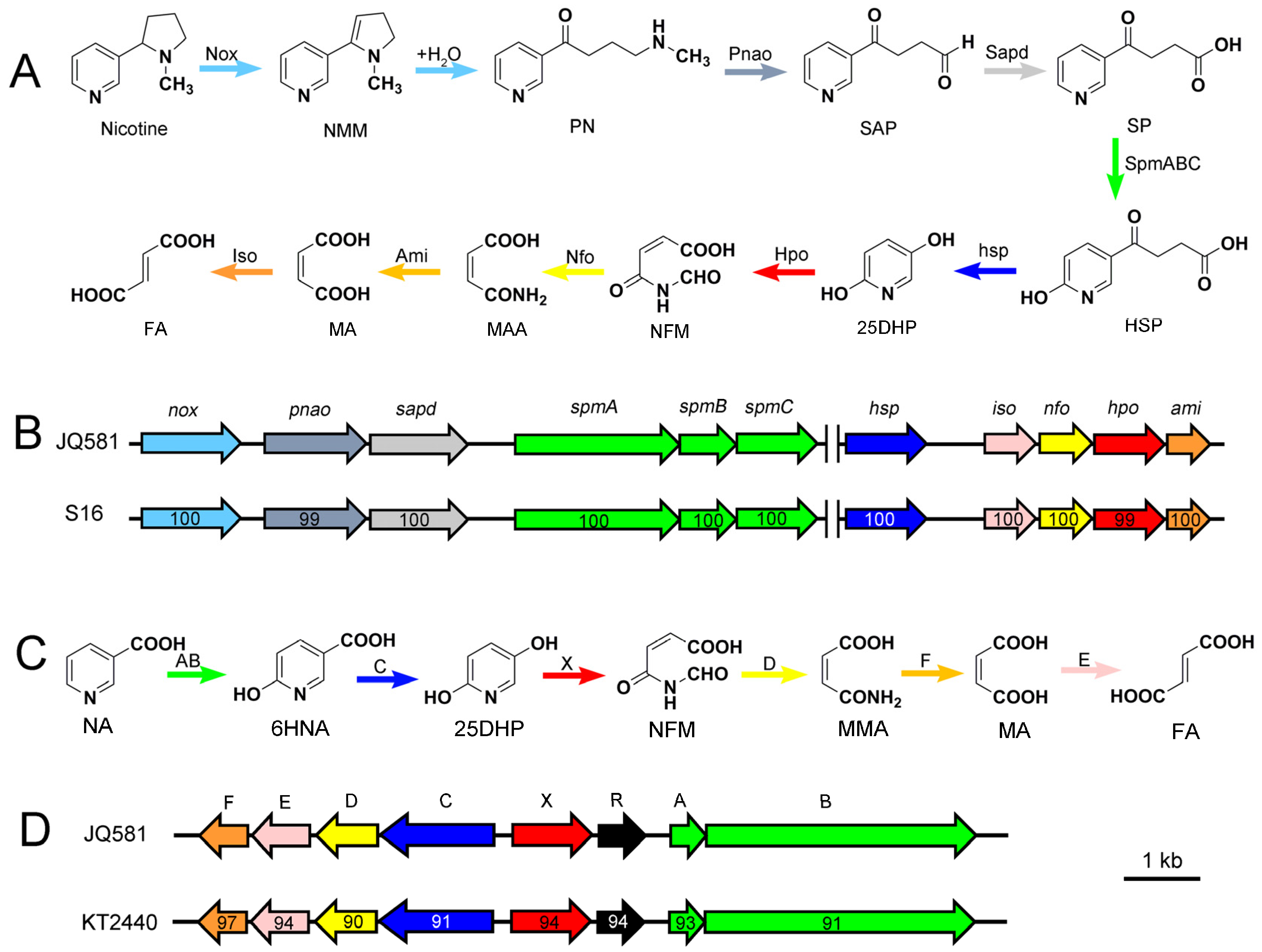 Marinedrugs 15 00156 g007