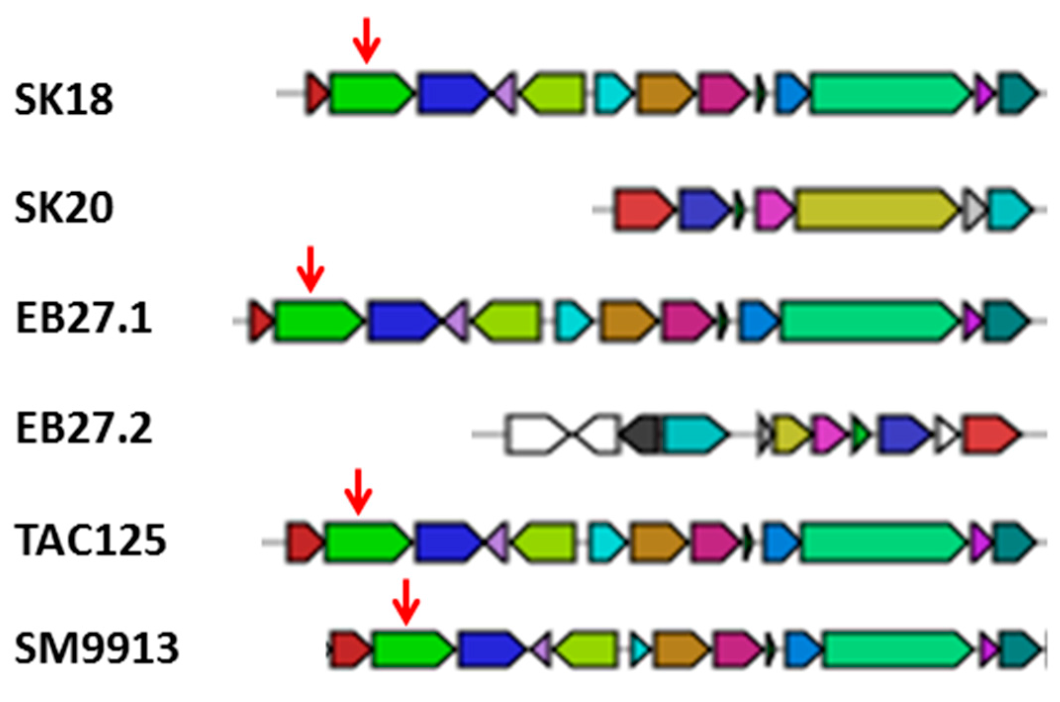 Marinedrugs 15 00184 g006