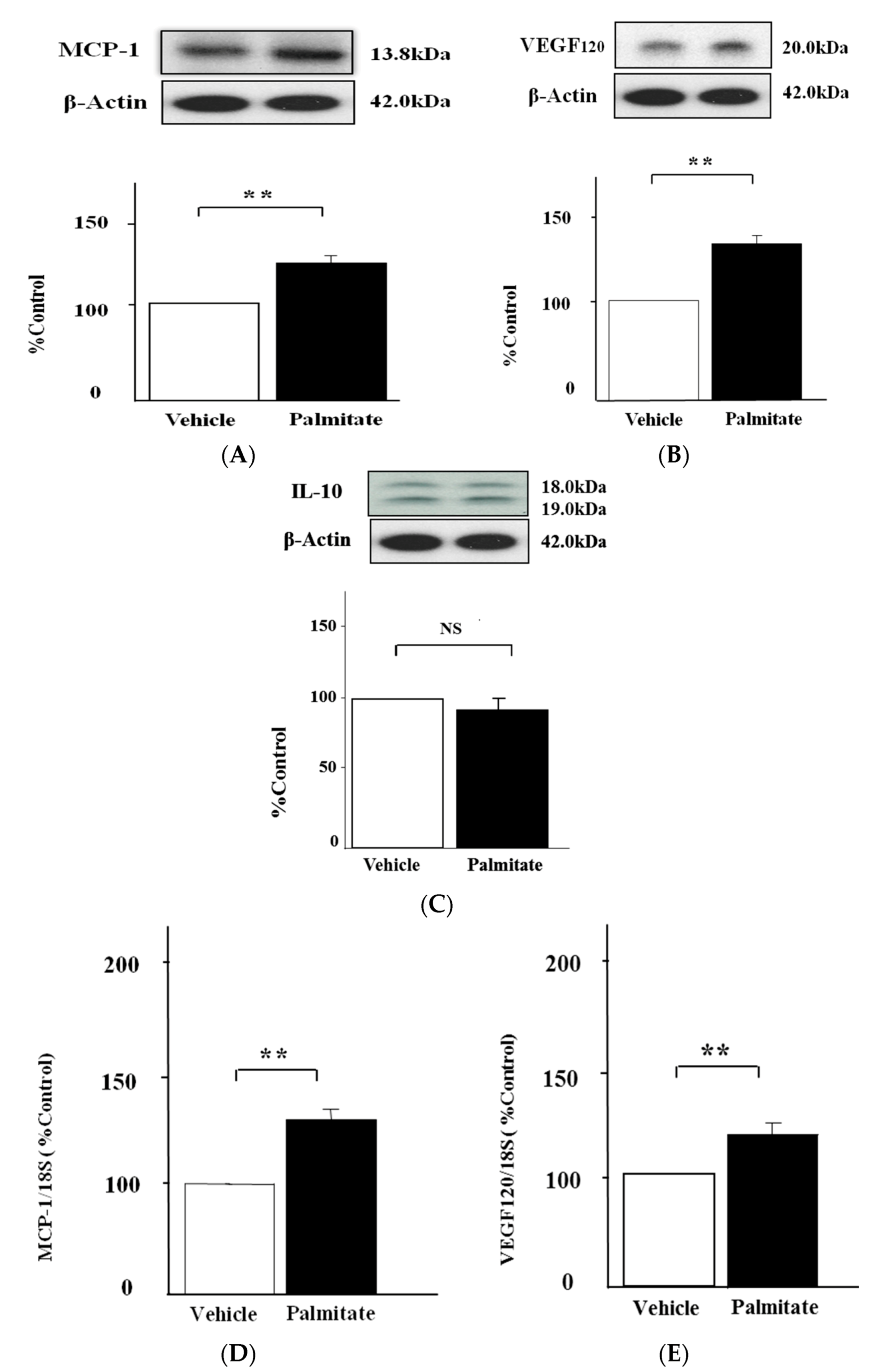 Marinedrugs 15 00185 g001