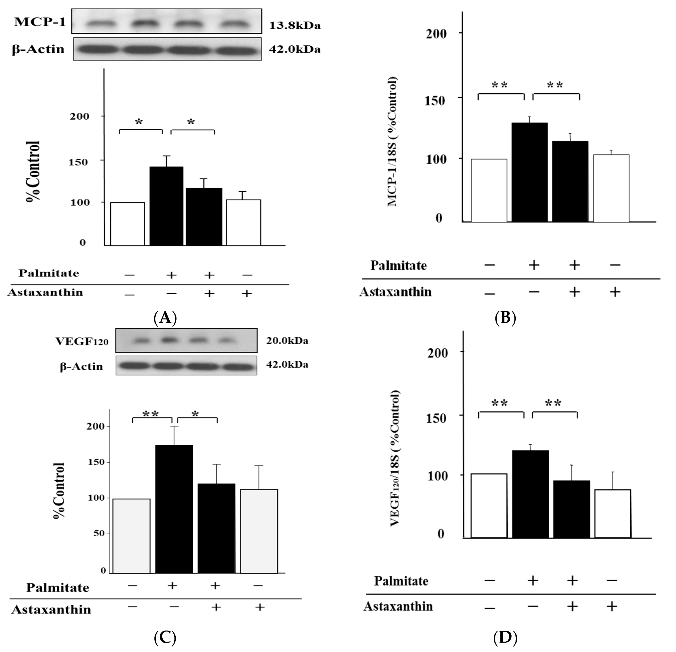 Marinedrugs 15 00185 g002