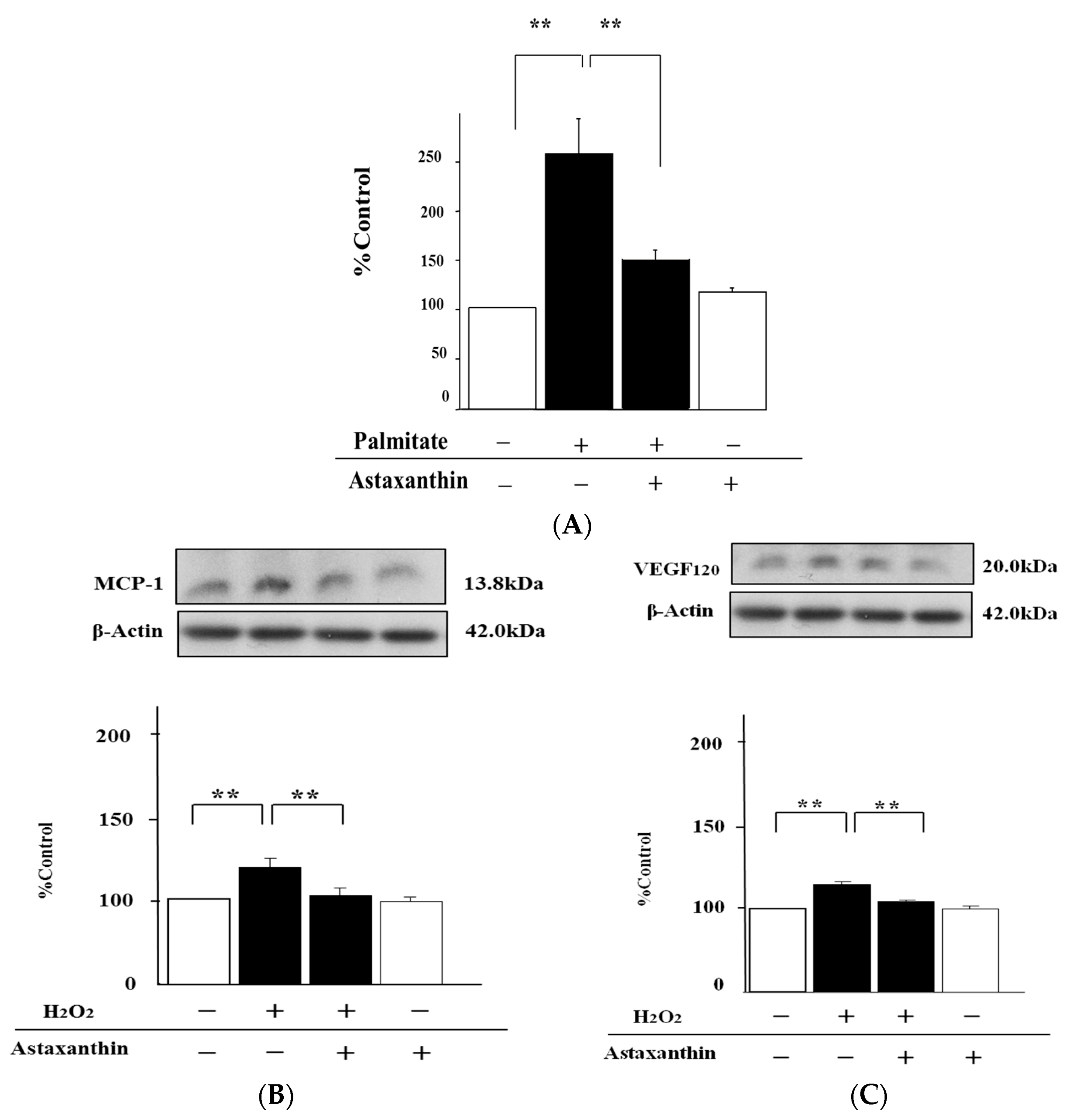Marinedrugs 15 00185 g004