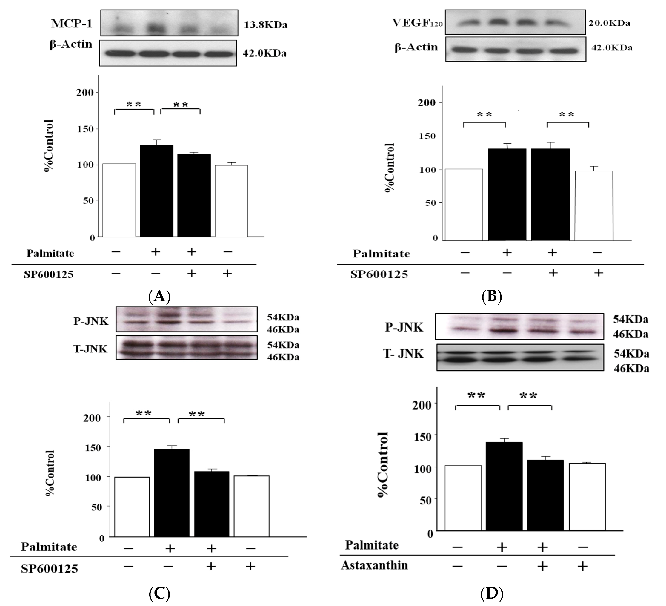 Marinedrugs 15 00185 g005