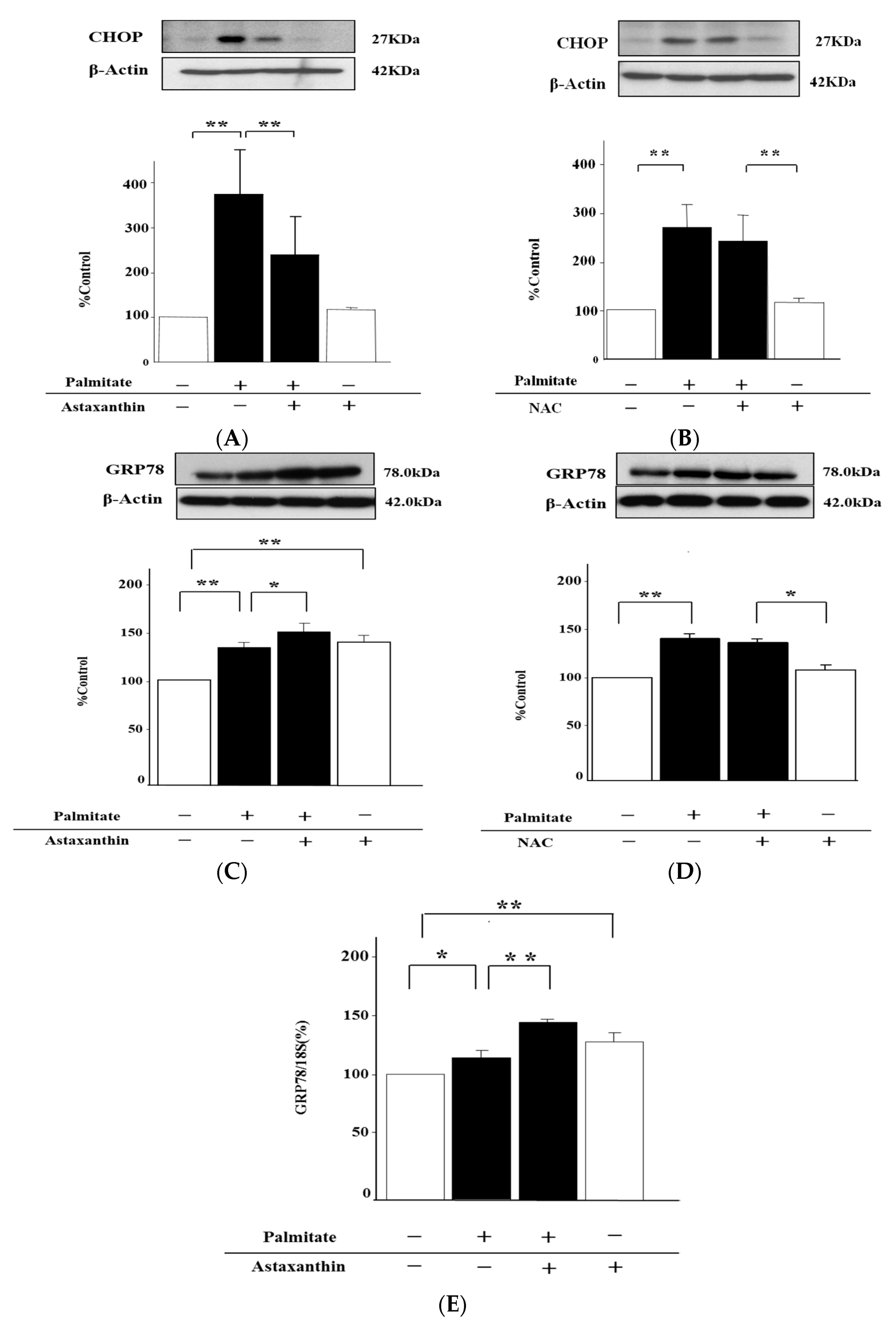 Marinedrugs 15 00185 g007
